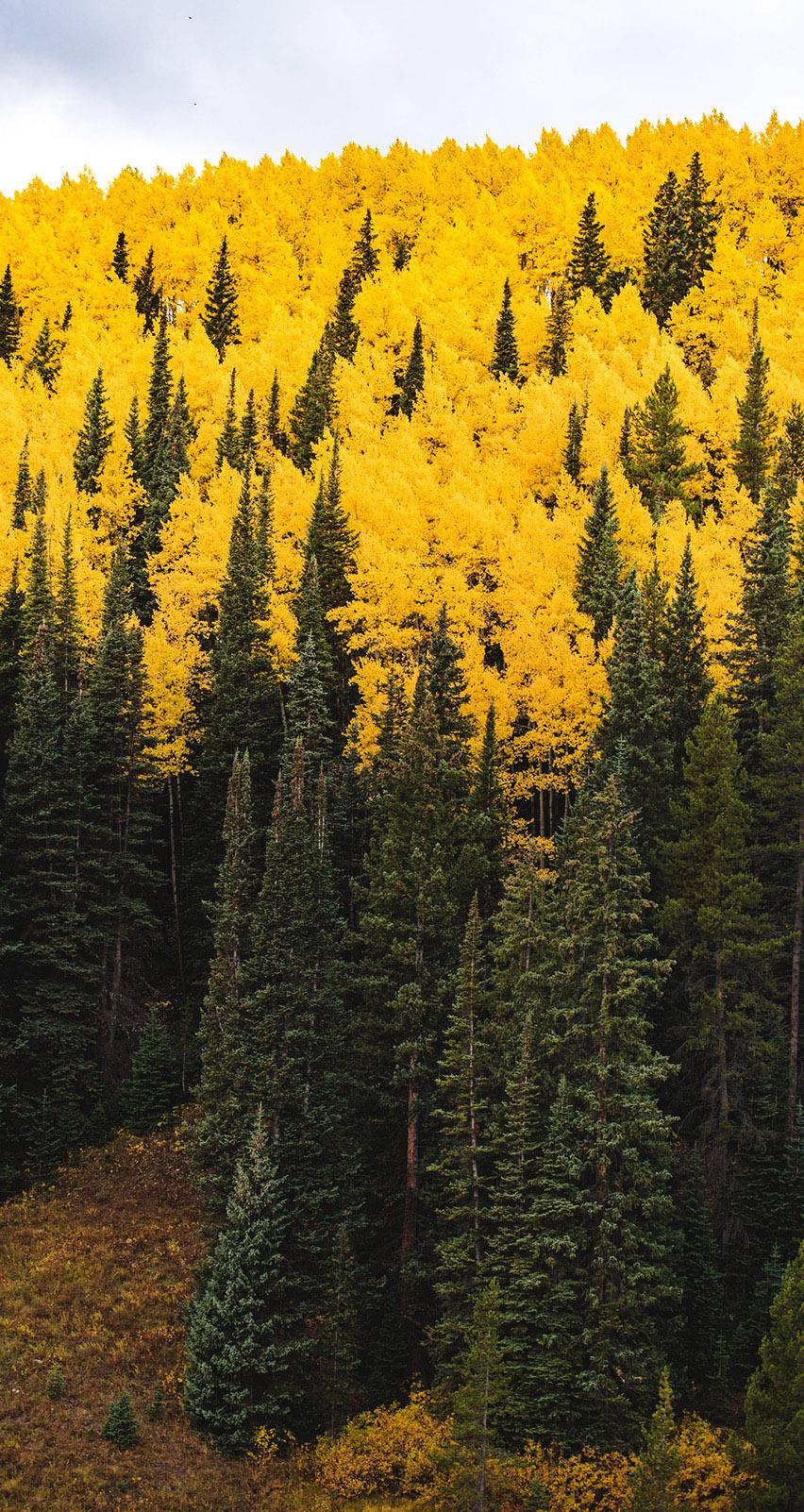 852x1602 Colorado Landscape Photographer & Elopement Photographer October 2018