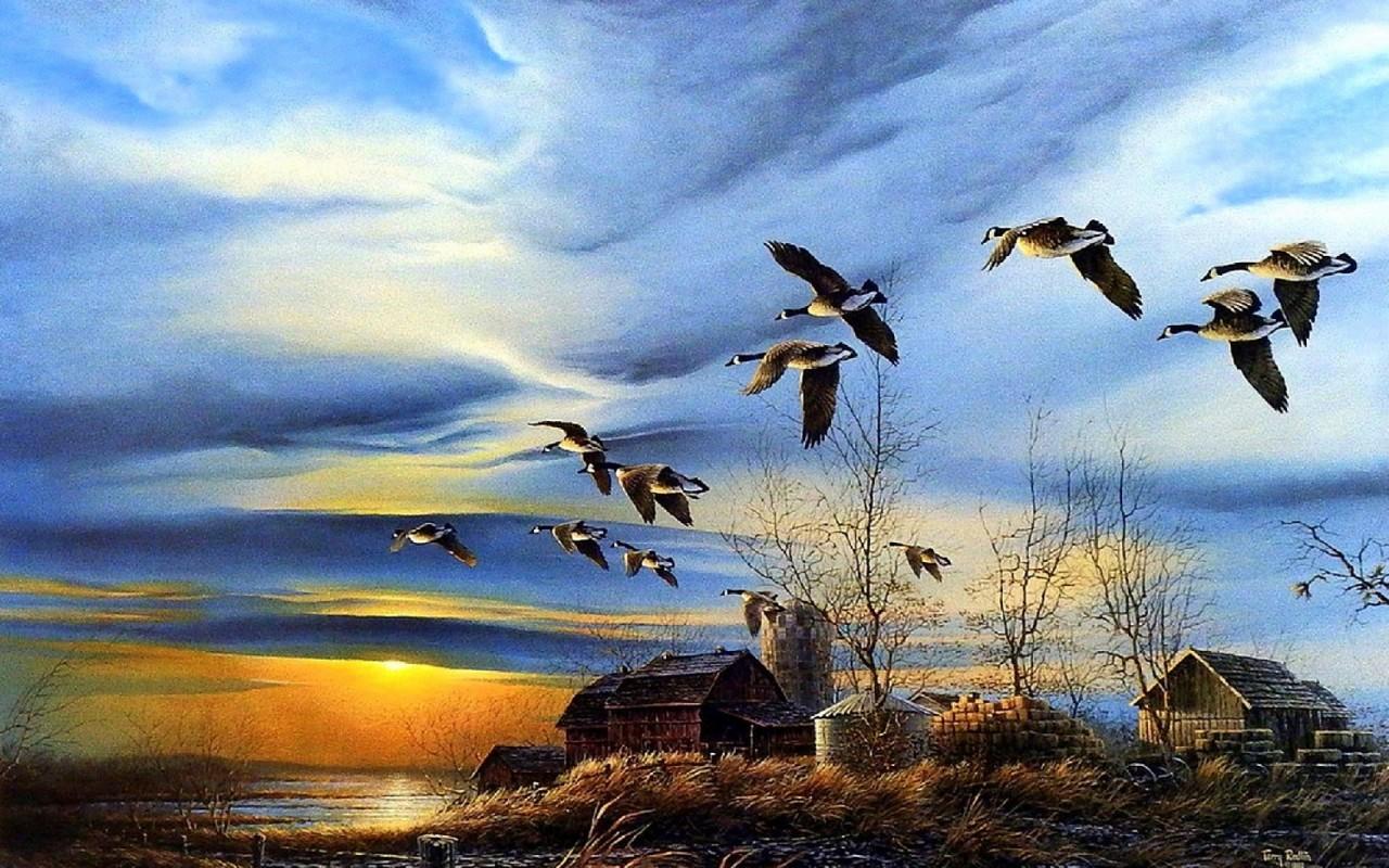 1280x800 Farm Houses Lake Ducks Sunset wallpaper. Farm Houses Lake Ducks Sunset