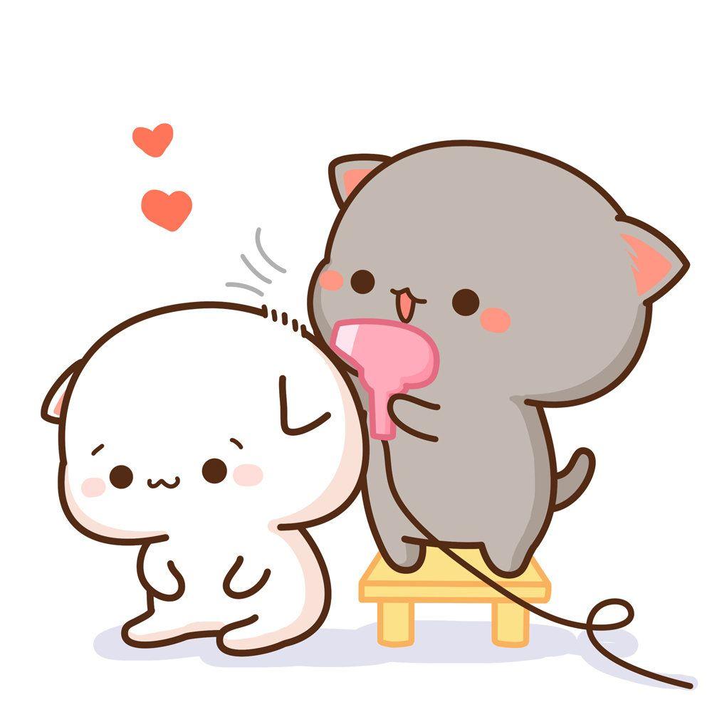 1000x1000 蜜桃猫. Cute cartoon picture, Cute anime cat, Cute kawaii animals