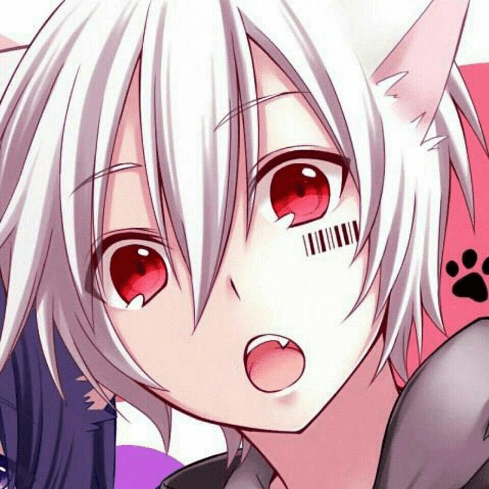 Cute Cat Boy Anime HD Png Download  vhv
