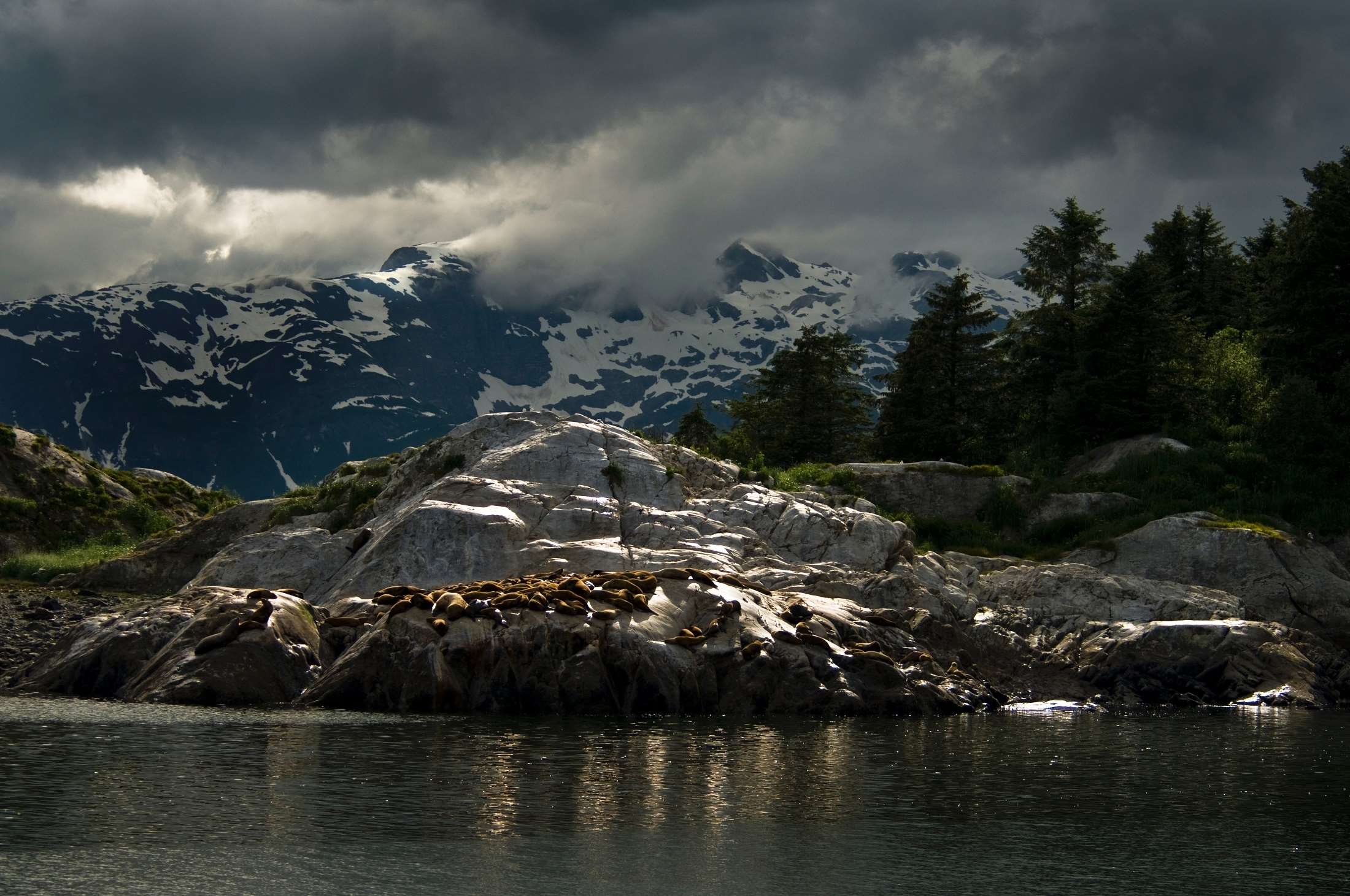2200x1461 alaska, clouds, landscape, marble islands, mountains, outdoors, rainy, reflection, scenic, sea, snow, storm, trees, us, wilderness wallpaper