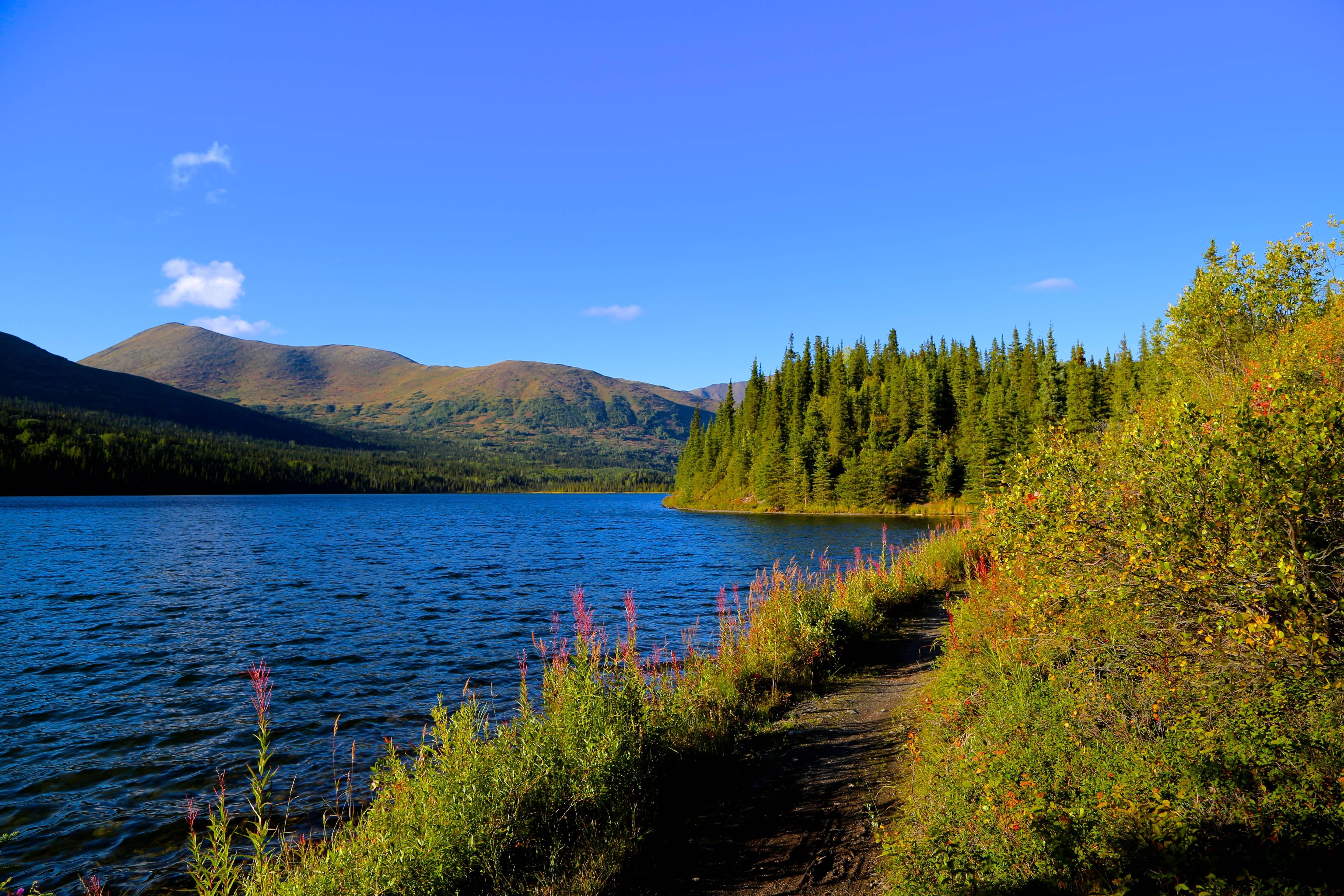 5760x3840 Juneau 4K wallpaper for your desktop or mobile screen free and easy to download