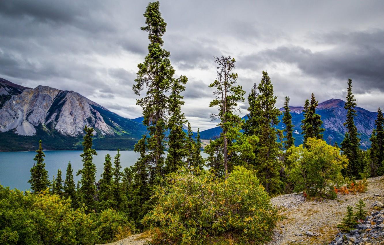 1332x850 Wallpaper forest, the sky, clouds, trees, mountains, clouds, nature, lake, stones, beauty, Alaska, Tutshi Lake image for desktop, section пейзажи