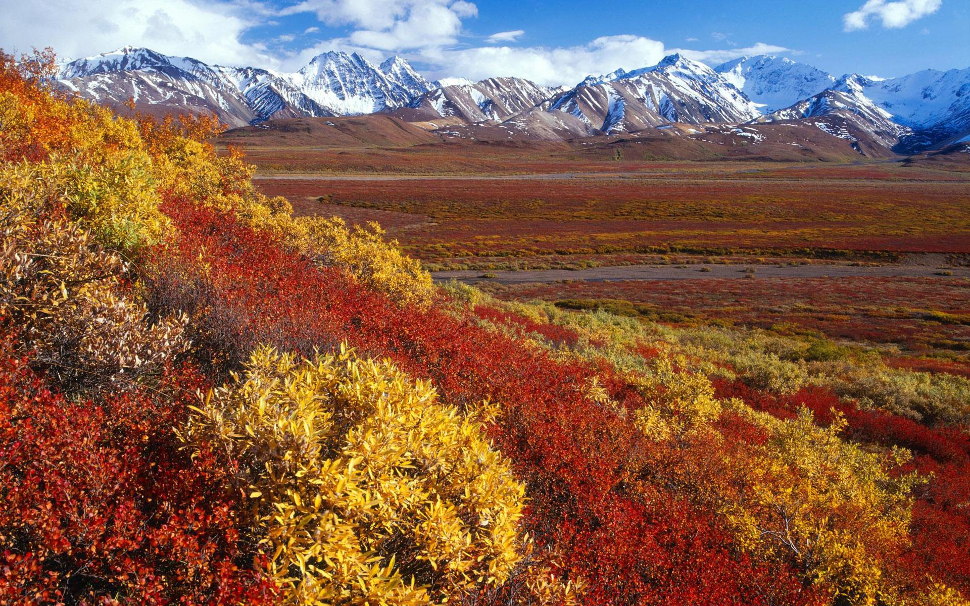 1920x1200 Free download Alaska Fall Wallpaper HD wallpaper background [1920x1200] for your Desktop, Mobile & Tablet. Explore Alaska Background. Alaska Background, Alaska Wallpaper, Alaska Wallpaper HD