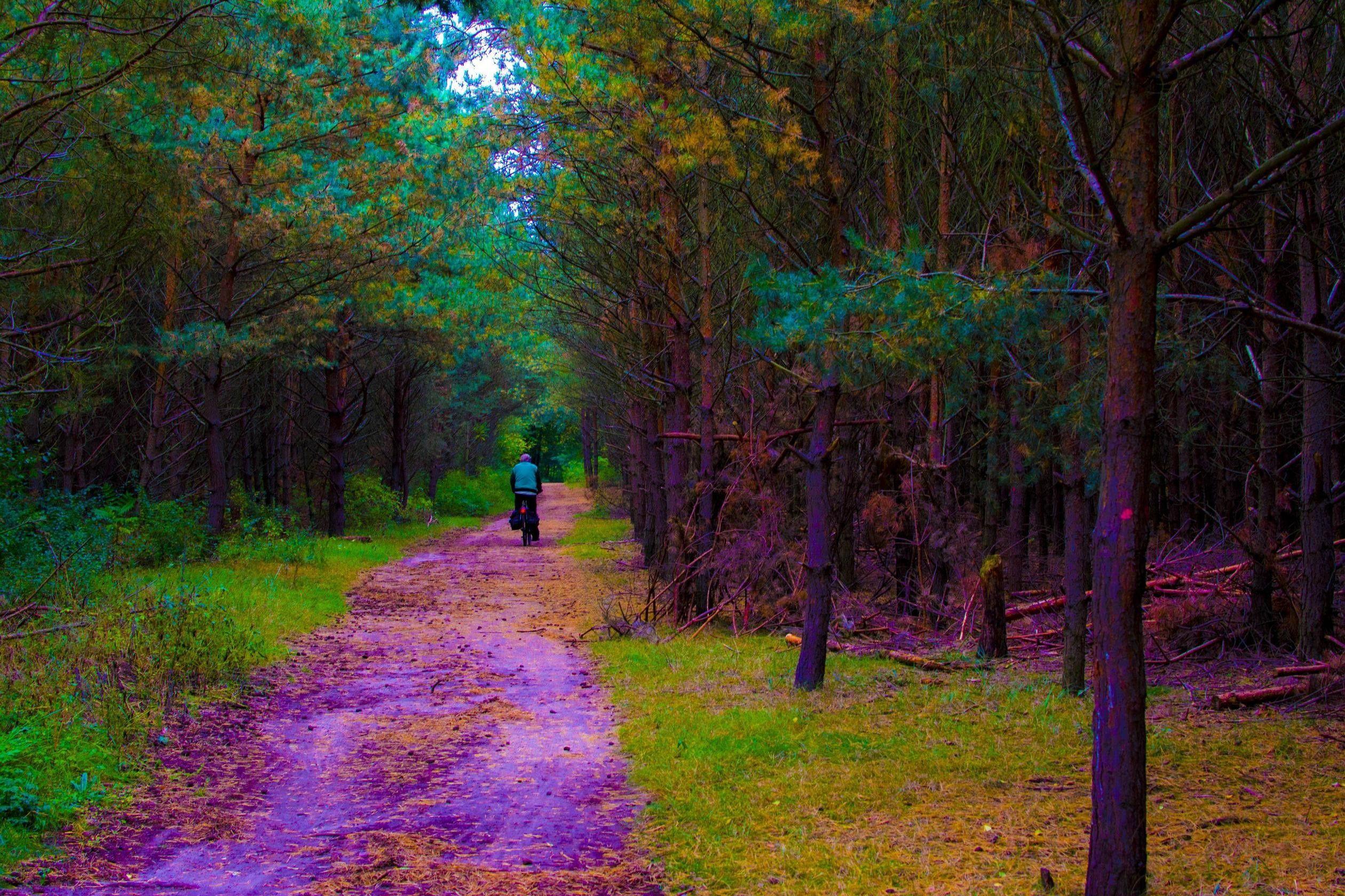 2520x1680 Acid Trip Wallpaper.com Wallpaper World