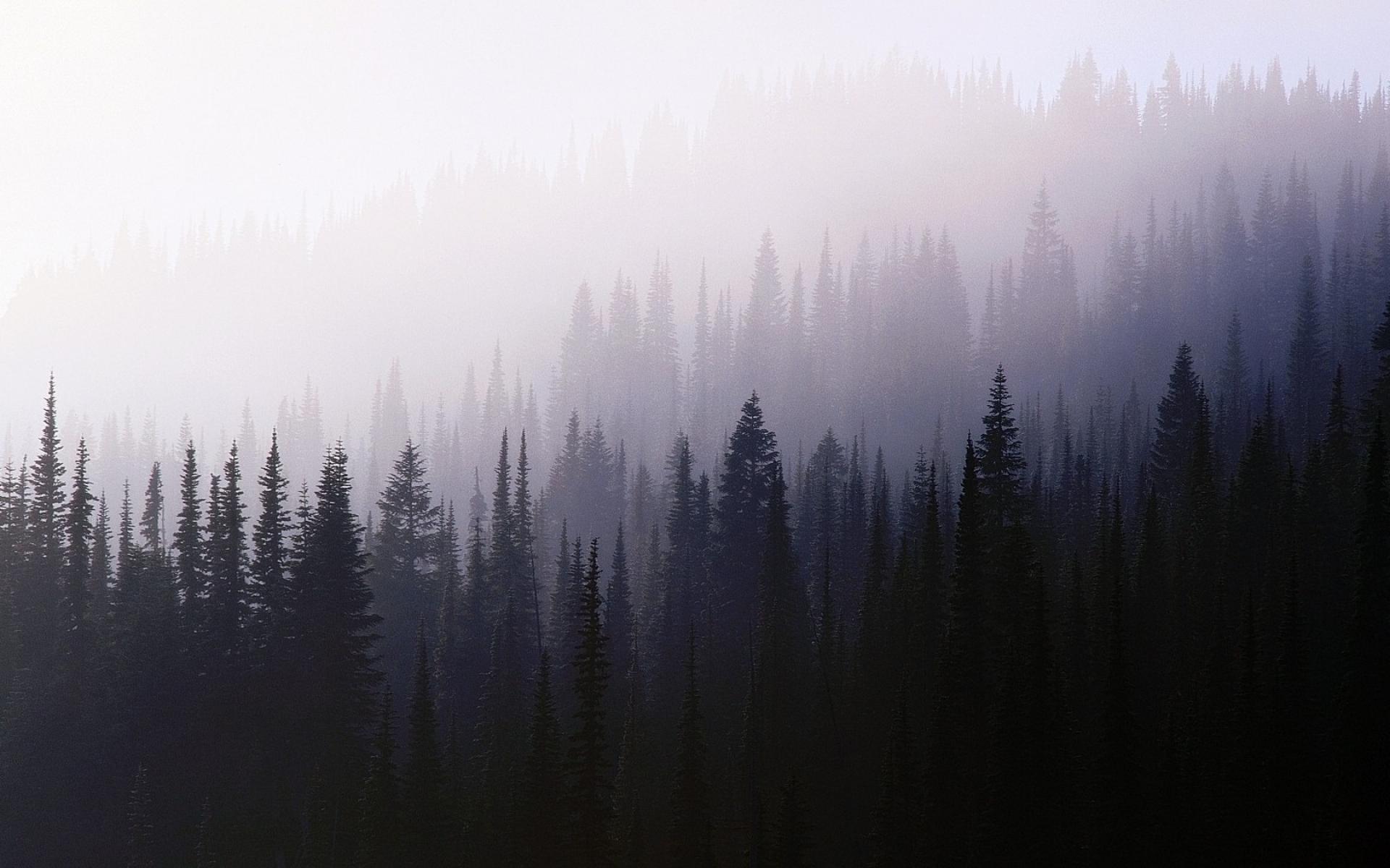 1920x1200 