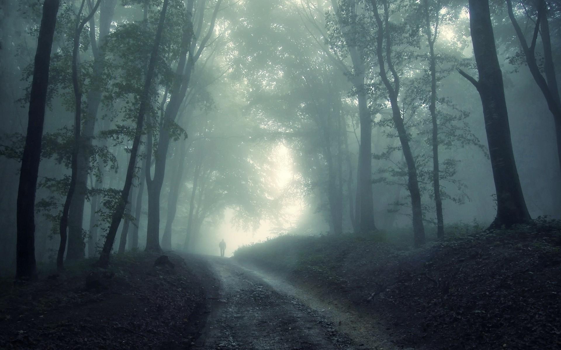 1920x1200 