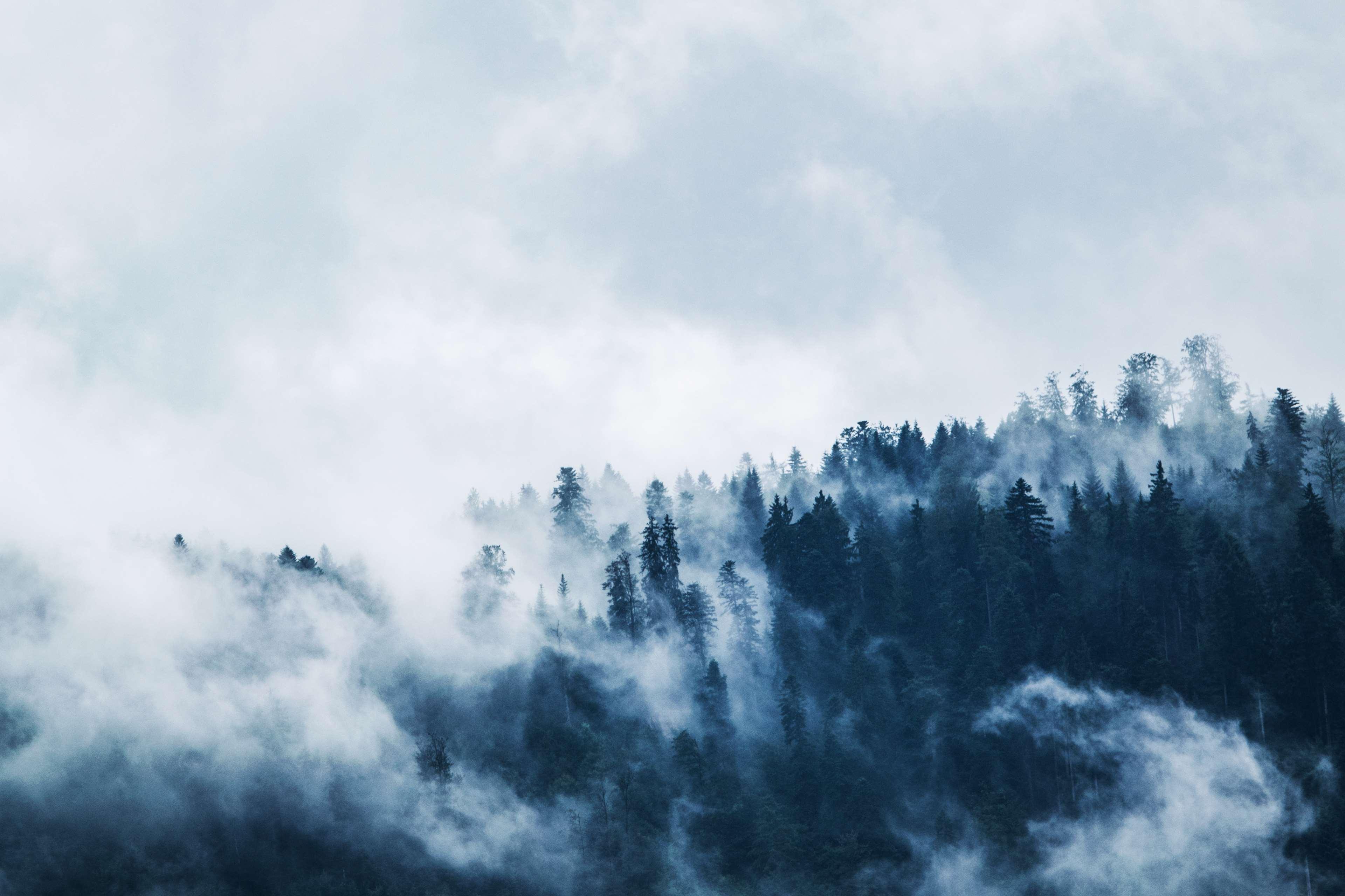 3840x2560 clouds, cloudy, cold, daylight, fog, foggy, foliage, forest, high, landscape, light, mist, moody, mountains, nature, outdoors, snow, summer, travel, tree top, trees, weather, wilderness, winter, woods 4k wallpaper