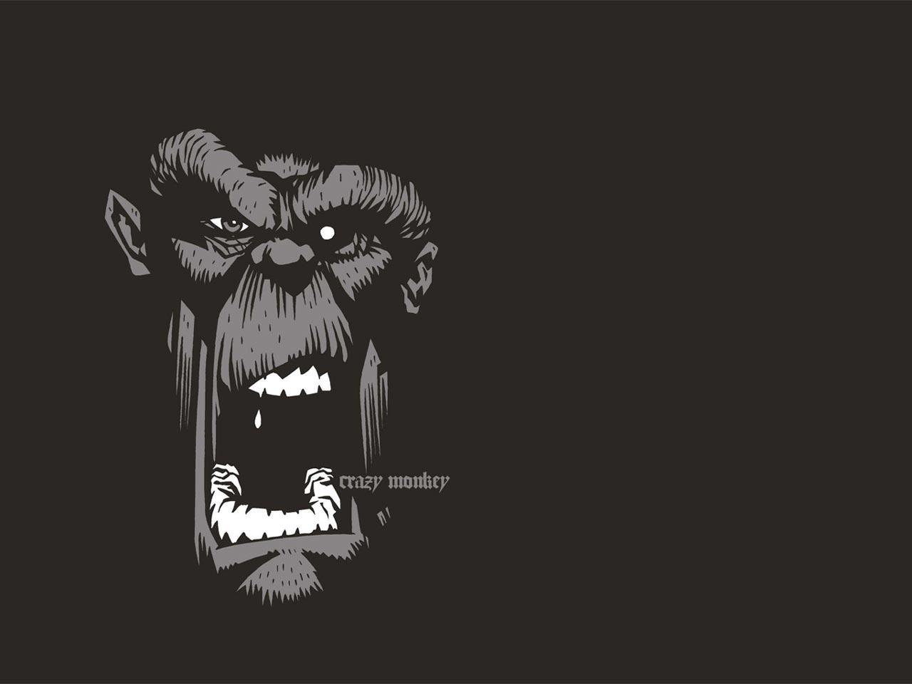 1280x960 The Crazy Monkey Movie