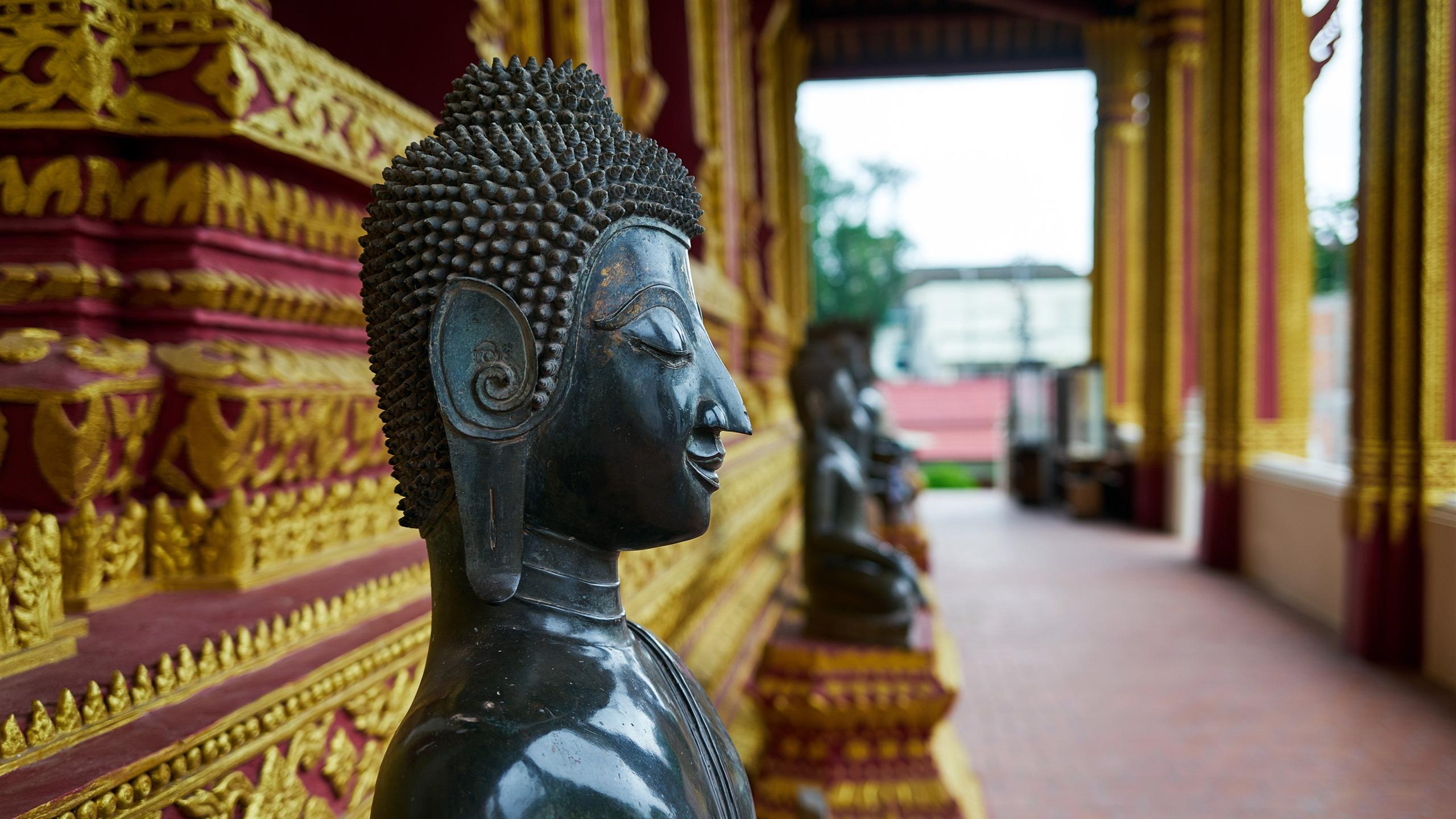 2560x1440 Vietnam laos temple buddha statue photo closeup