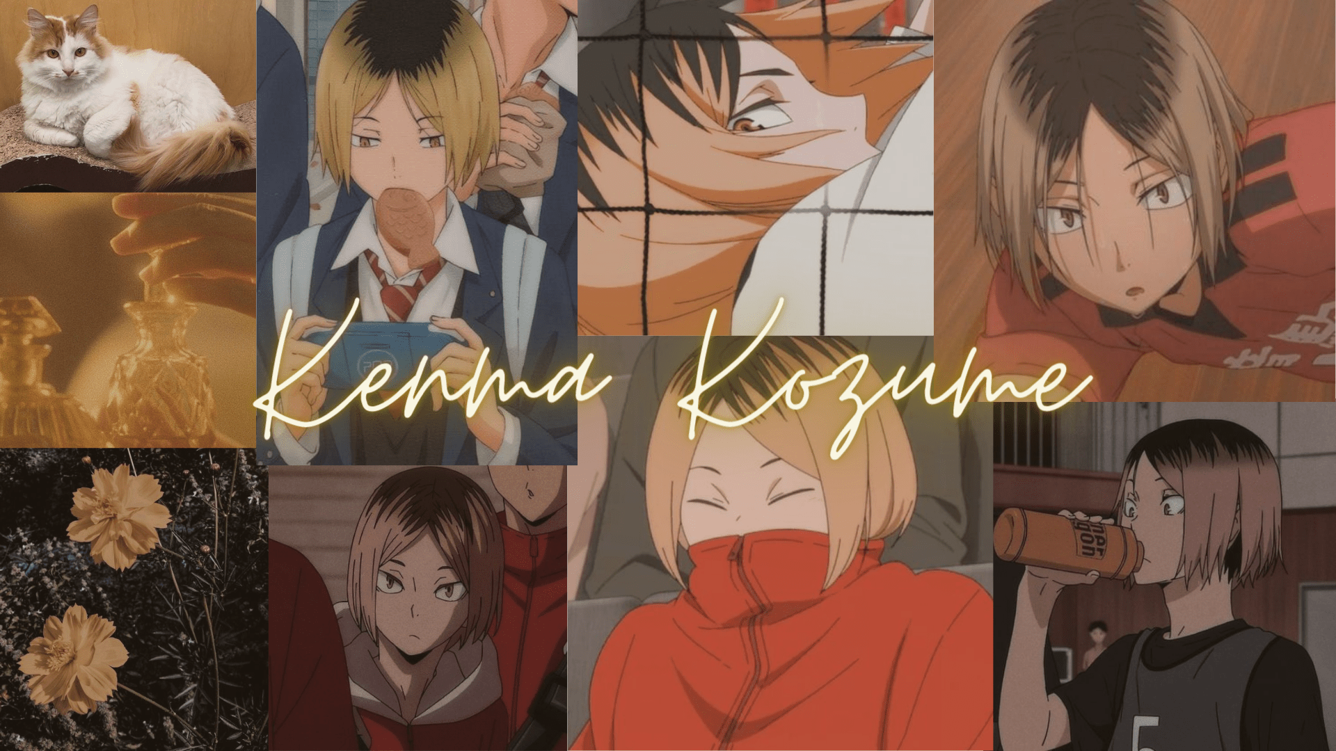 Kenma Aesthetic Wallpapers Top Free Kenma Aesthetic Backgrounds