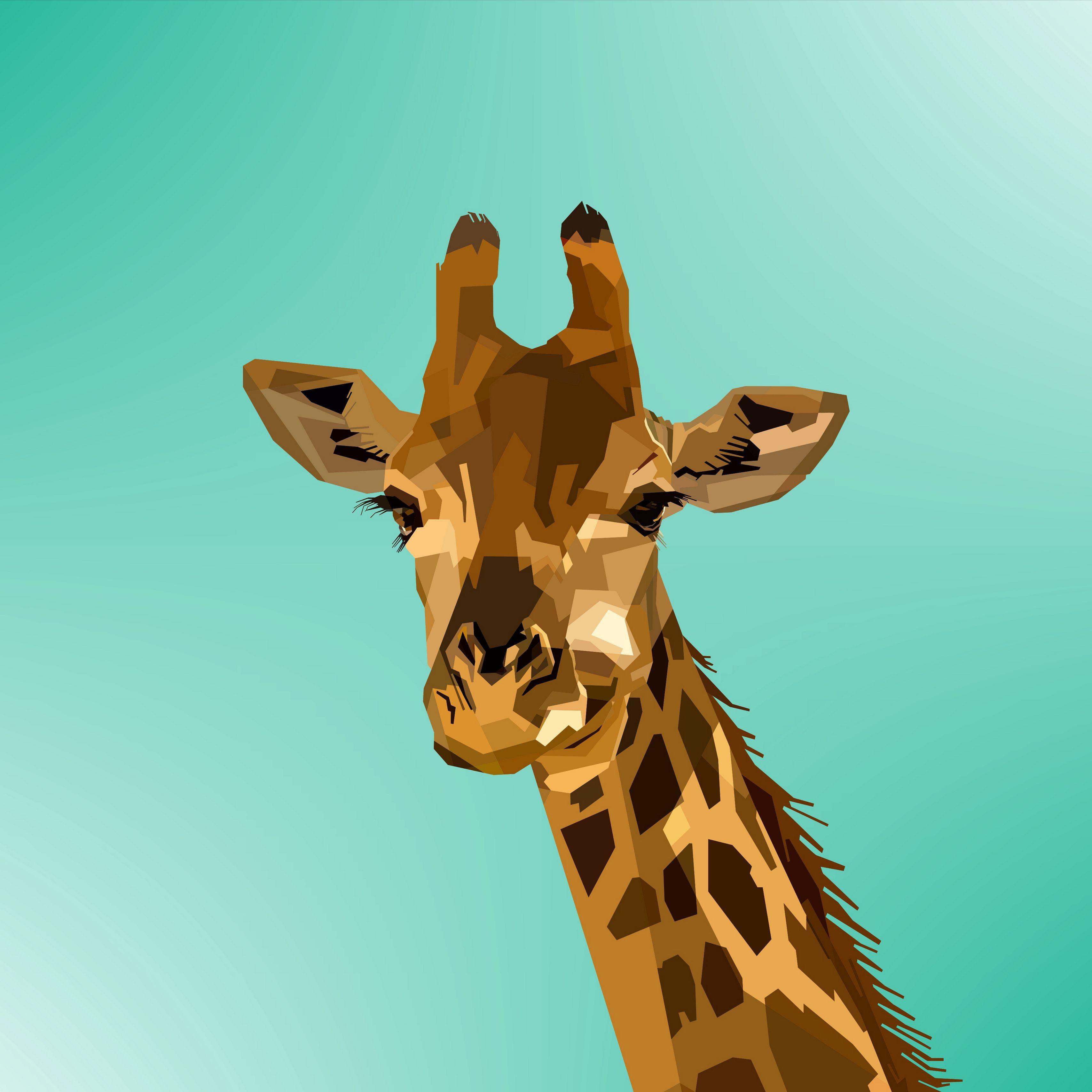 3415x3415 Download wallpaper 3415x3415 giraffe, vector, muzzle, art ipad pro 12.9 retina for parallax HD background