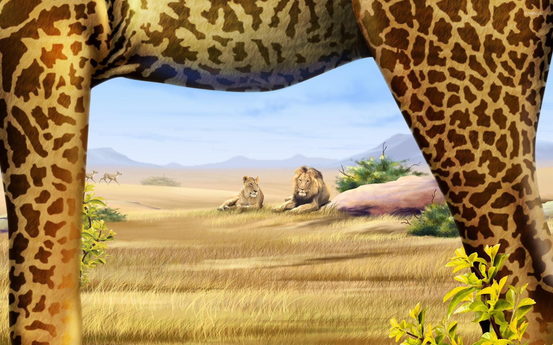 1920x1200 Lions looking at the giraffe wallpaper Art wallpaper