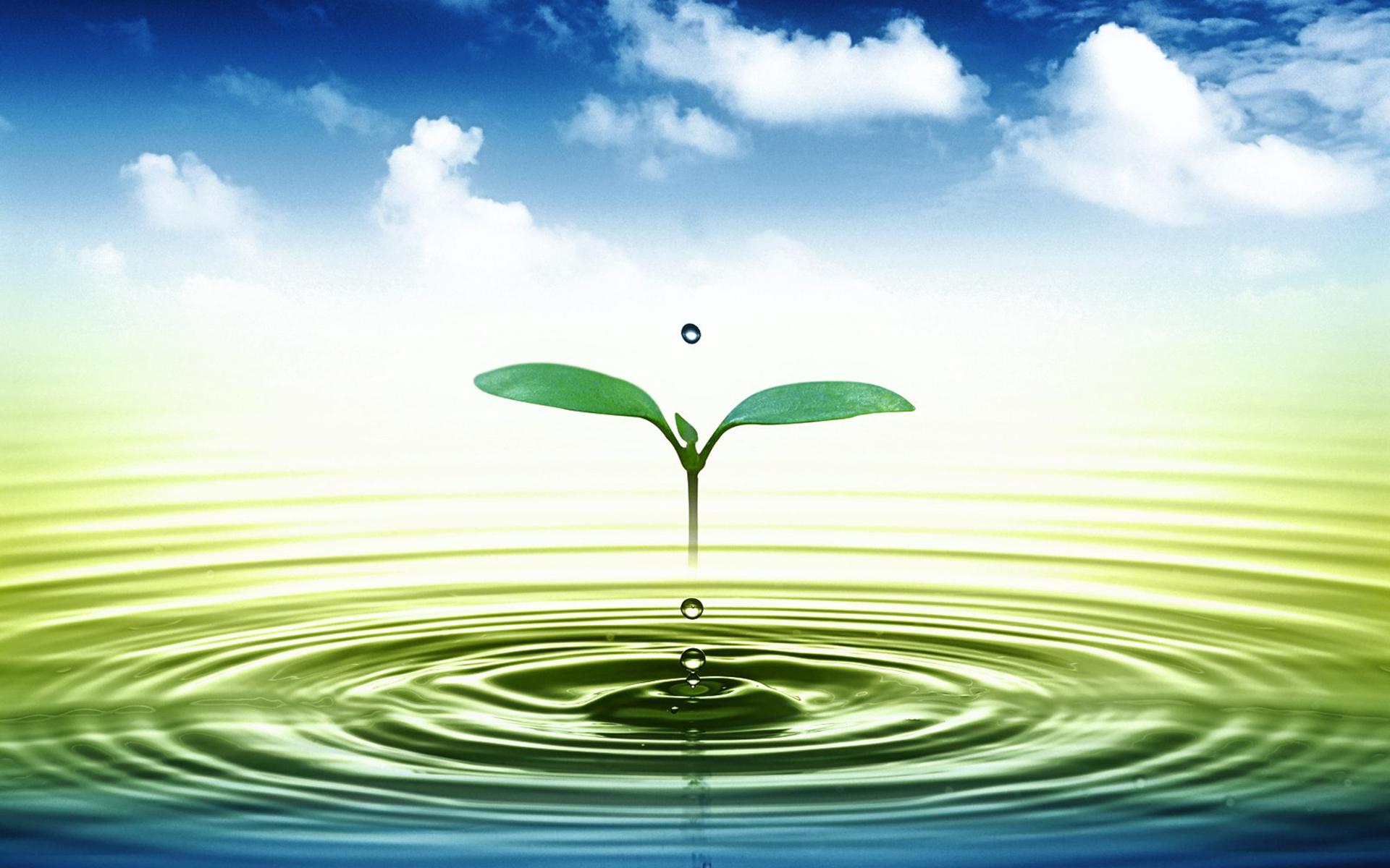 1920x1200 Free download 3D Leaf Water Drop HD Free Desktop HD Wallpaper [1920x1200] for your Desktop, Mobile & Tablet. Explore Water Drop HD Wallpaper. Water Drop Wallpaper, Water Drop Background