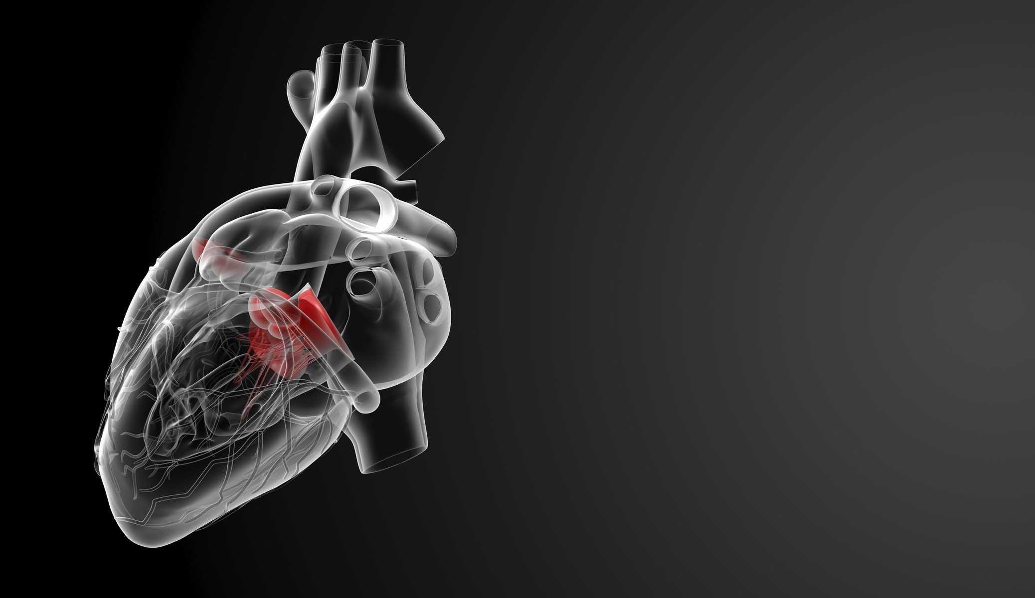 2076x1200 Desktop Medical Wallpaper