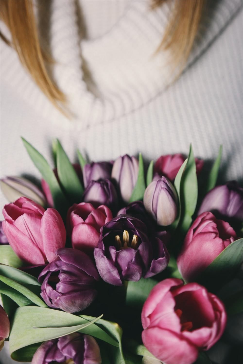 1000x1500 Purple Tulip Picture. Download Free Image