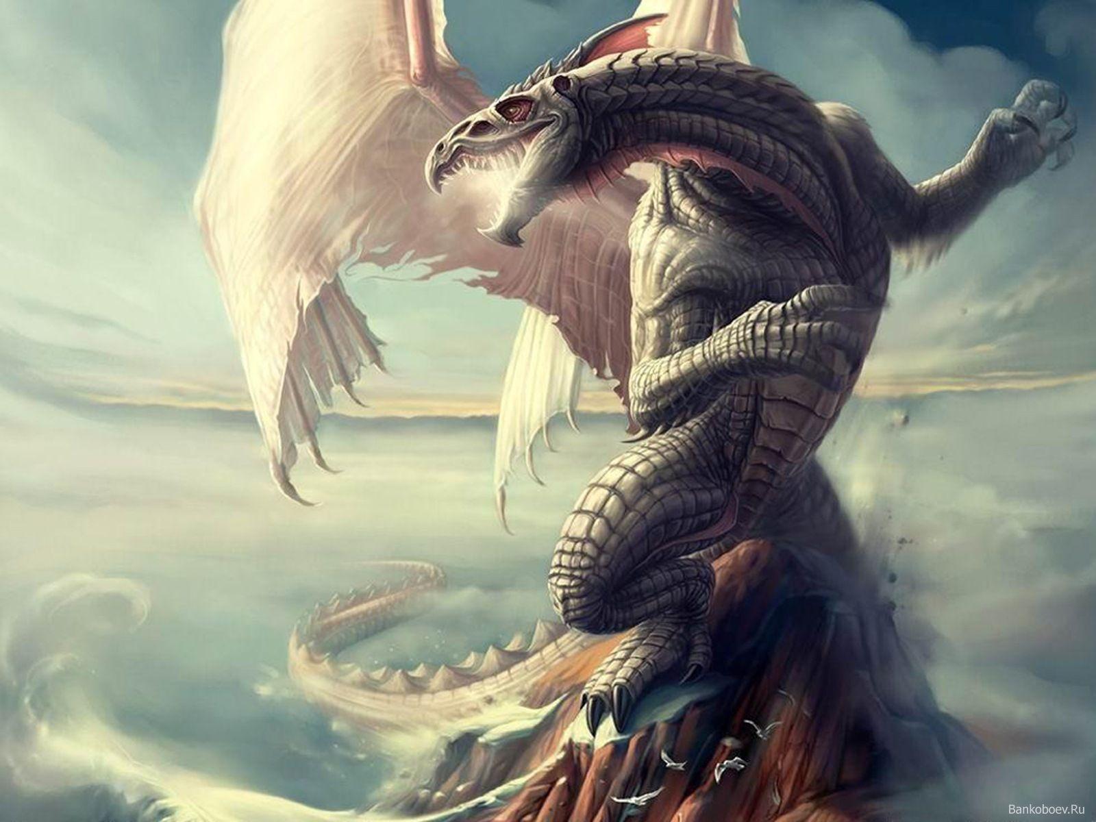 1600x1200 White Dragons ideas. white dragon, fantasy dragon, dragon art
