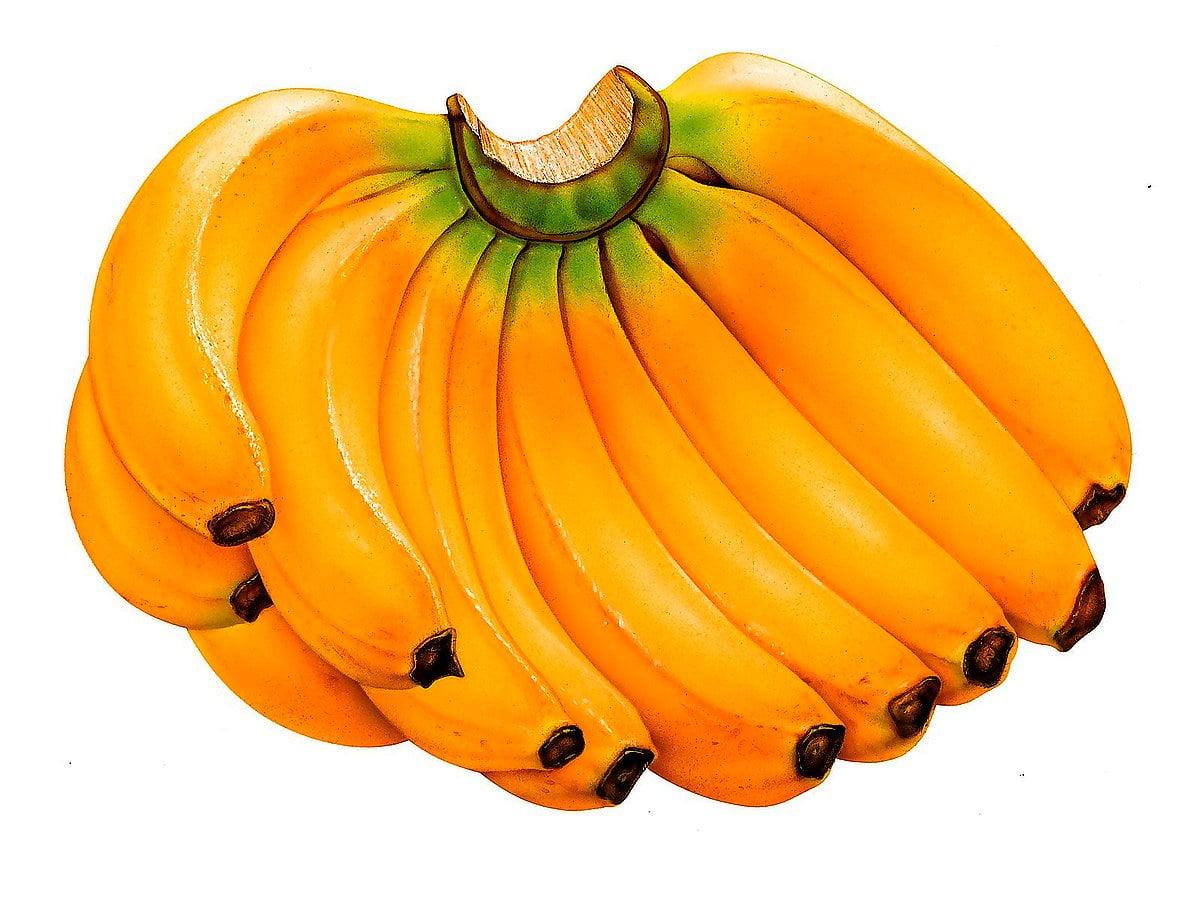 1200x900 Background Fruits And Vegetables, Banana, Fruits. Download Free picture