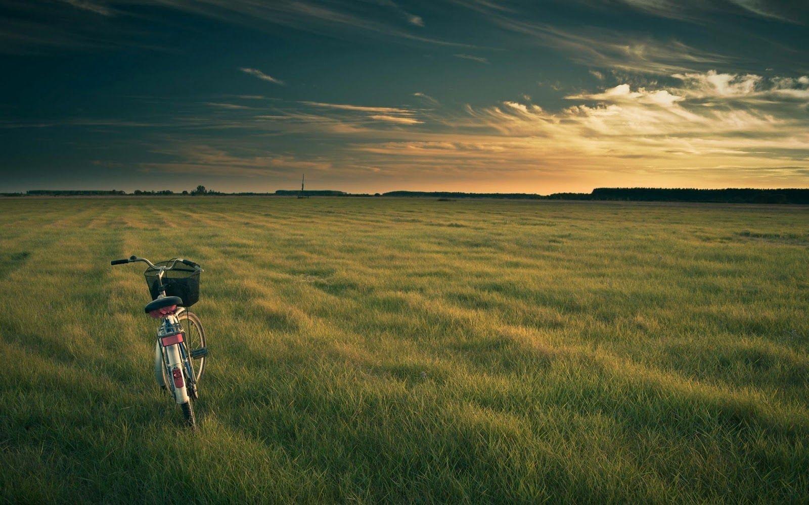 1600x1000 Health HD wallpaper, free wallpaper for desktop