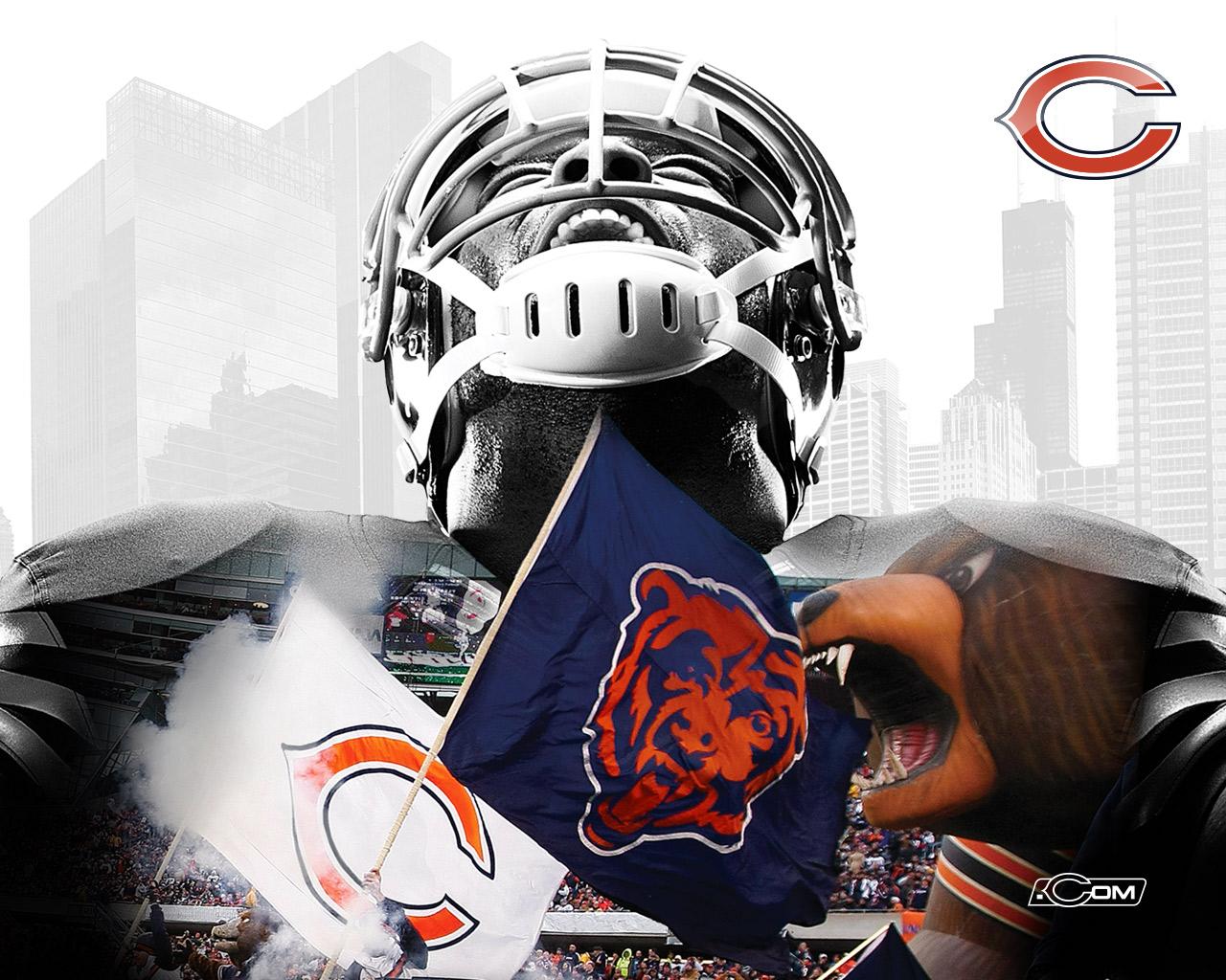 1280x1024 Bears Wallpaper 2014