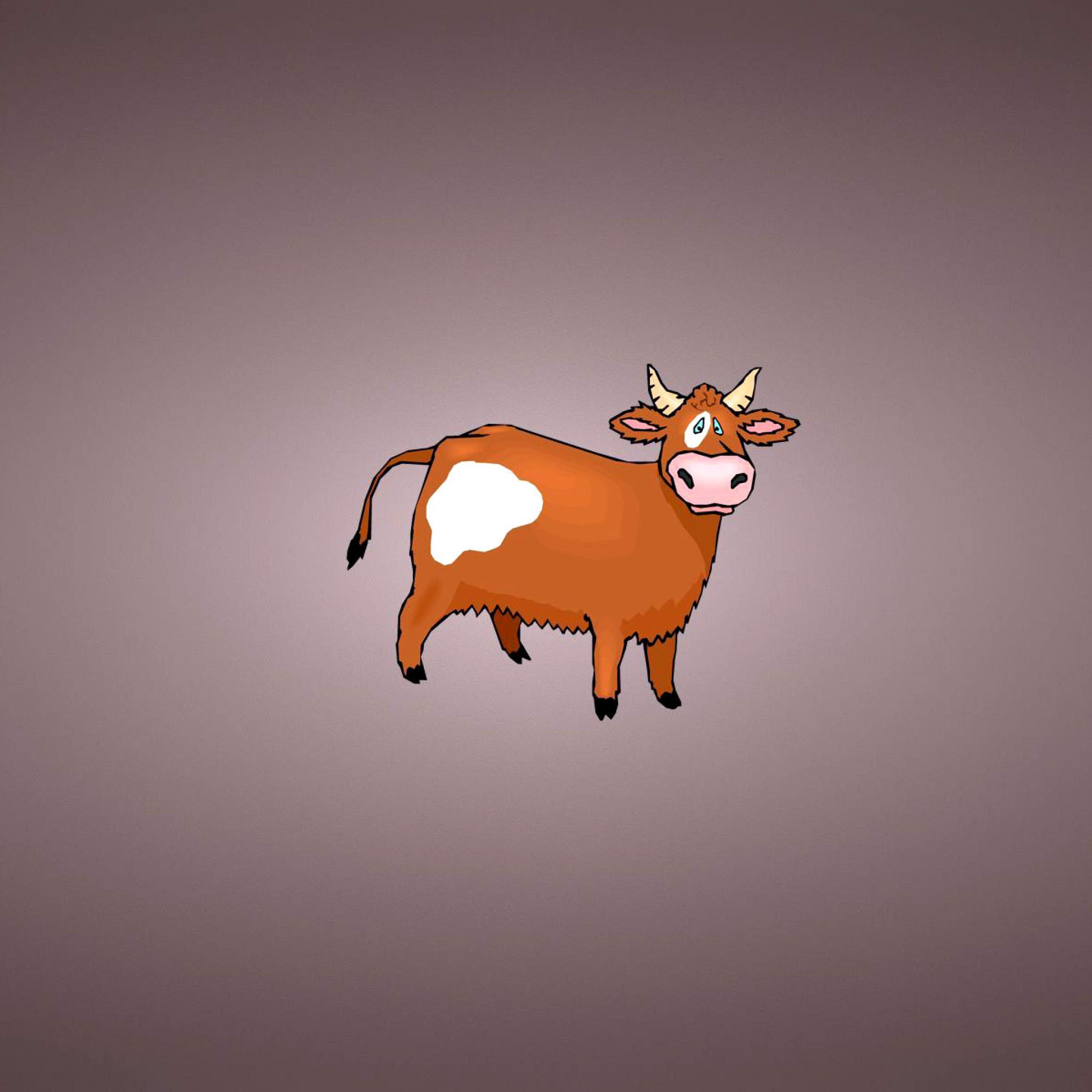 2048x2048 Funny Cow Wallpaper for iPad Air