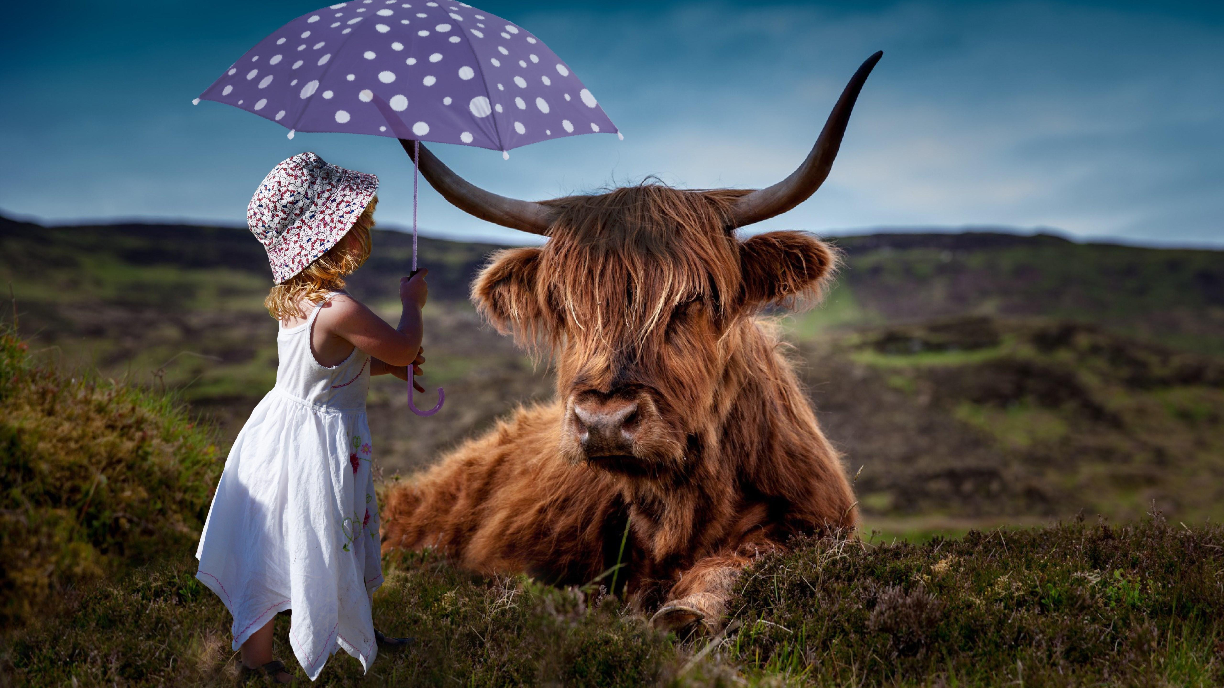 5120x2880 Download wallpaper: Child with the umbrella and the funny cow 5120x2880