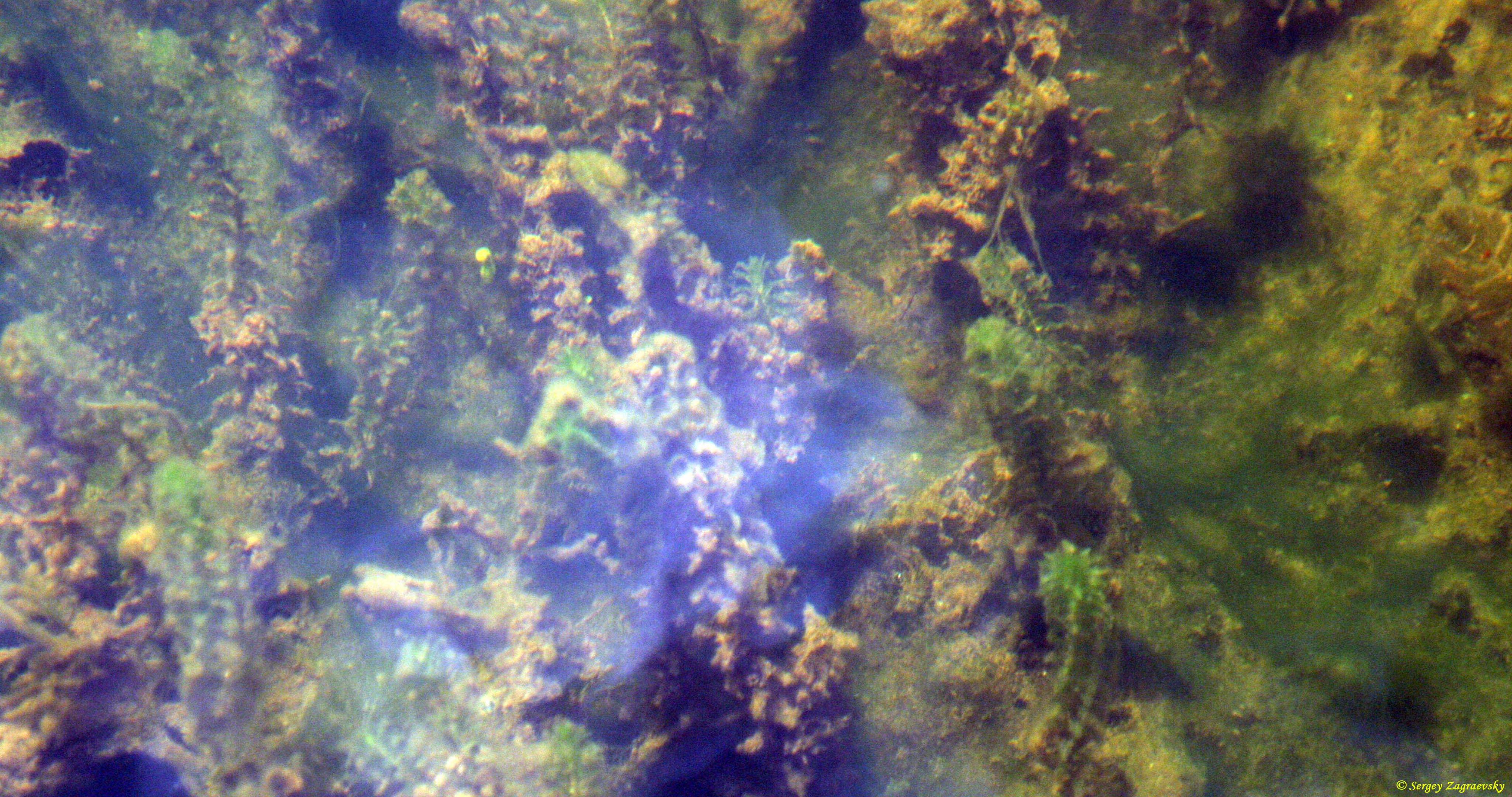 4096x2160 Wallpapers - Top Free 4096x2160 Backgrounds - WallpaperAccess