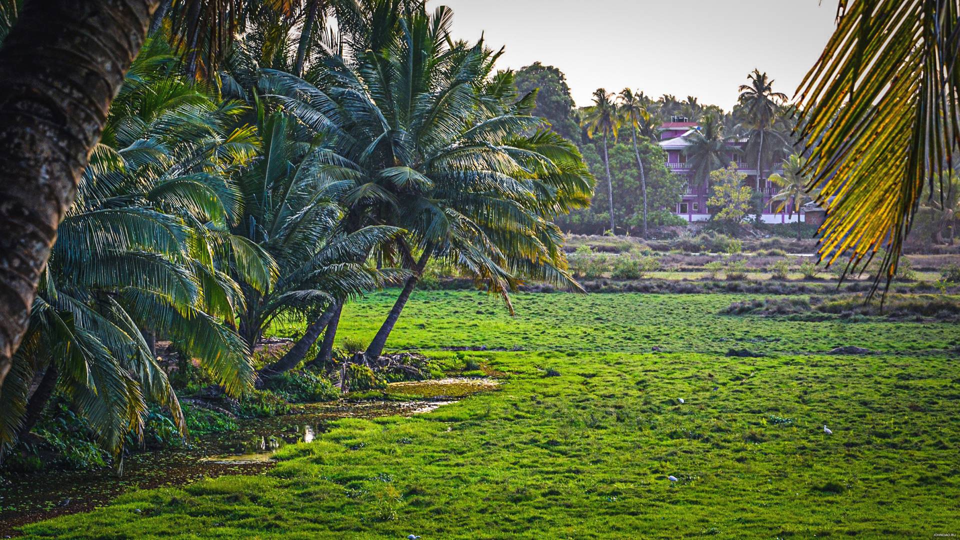 1920x1080 Wonderful nature in Goa Desktop wallpaper 1920x1080