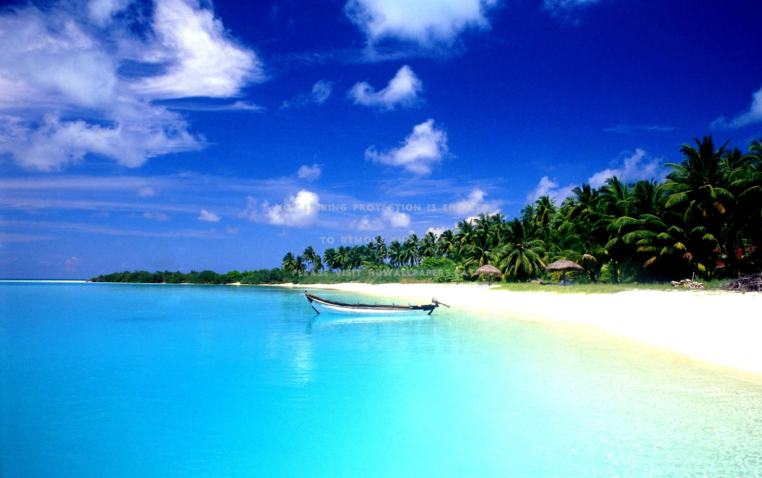 3225x2023 sandy coast of goa india summer boat beach