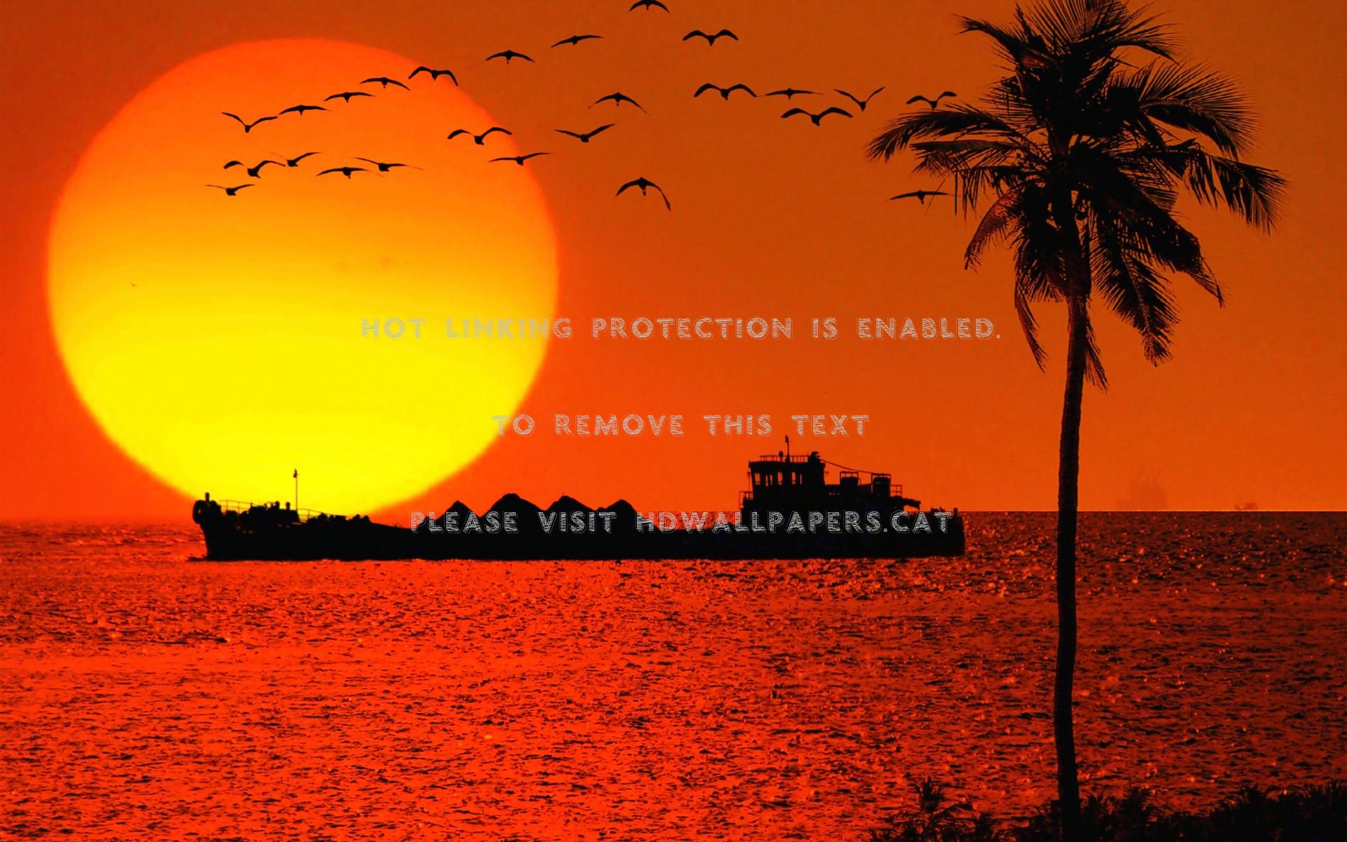 1920x1200 sunset in india goa country nature