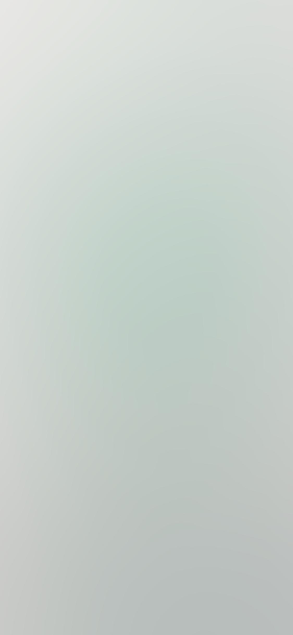 1125x2436 Soft Gray Gradation Blur Wallpaper