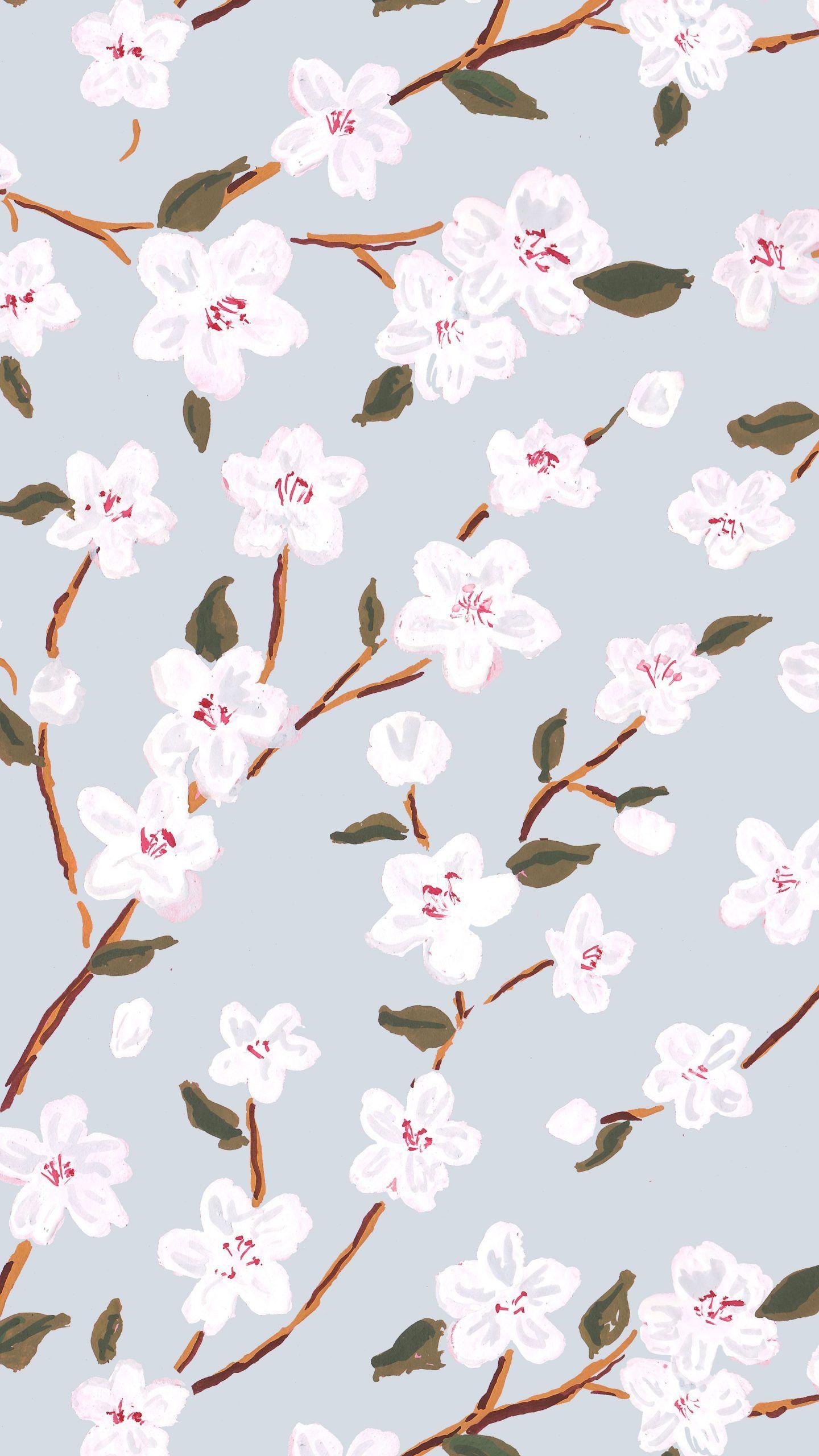 1440x2560 Cherry Blossoms#blossoms #cherry. iPhone wallpaper pattern, Cherry blossom wallpaper, Floral wallpaper iphone