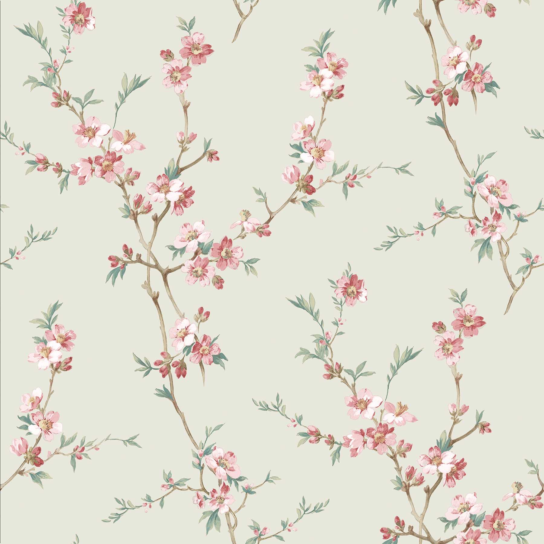 1800x1800 Chesapeake Cherry Blossom Sage Trail Wallpaper