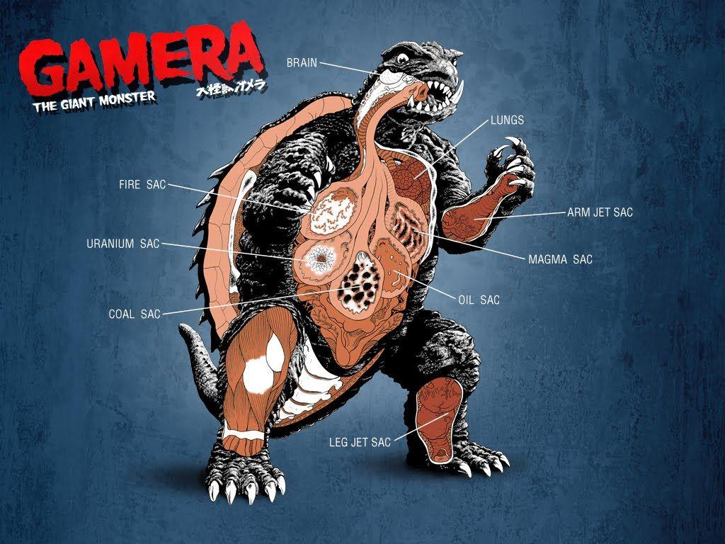 1024x768 Gamera Wallpaper