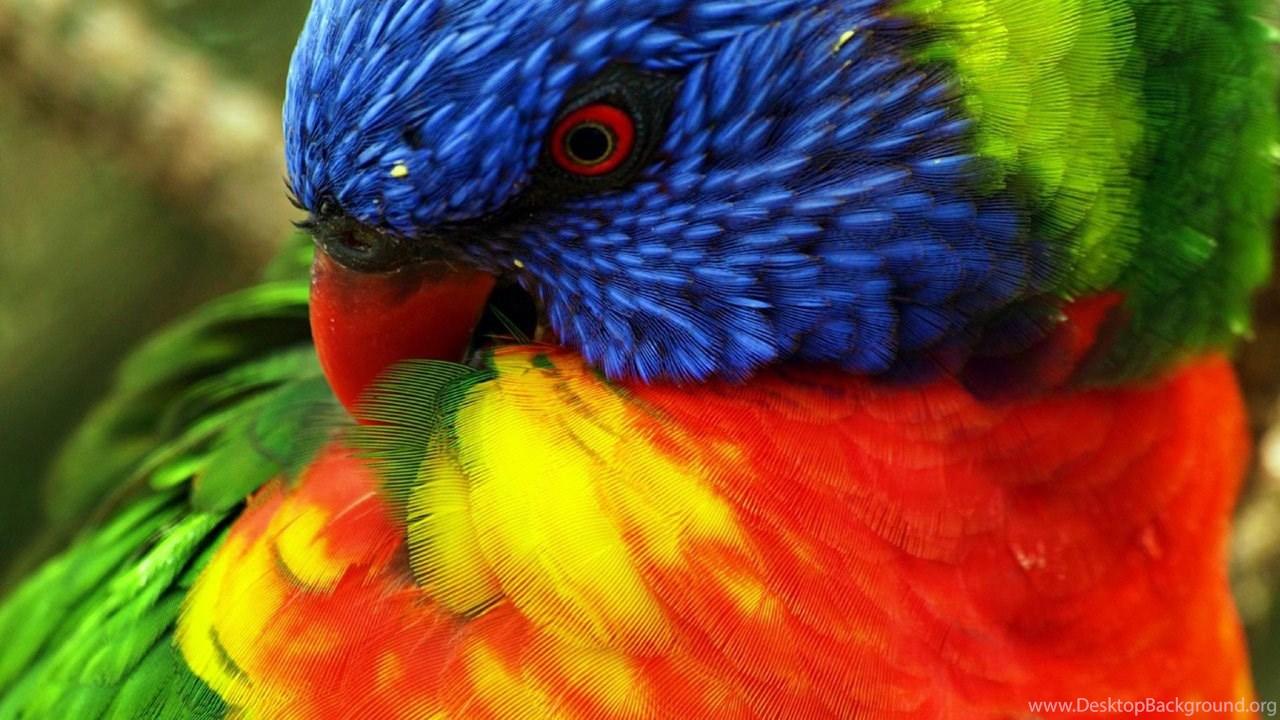 1280x720 Desktop Wallpaper HD Large Size Desktop Background