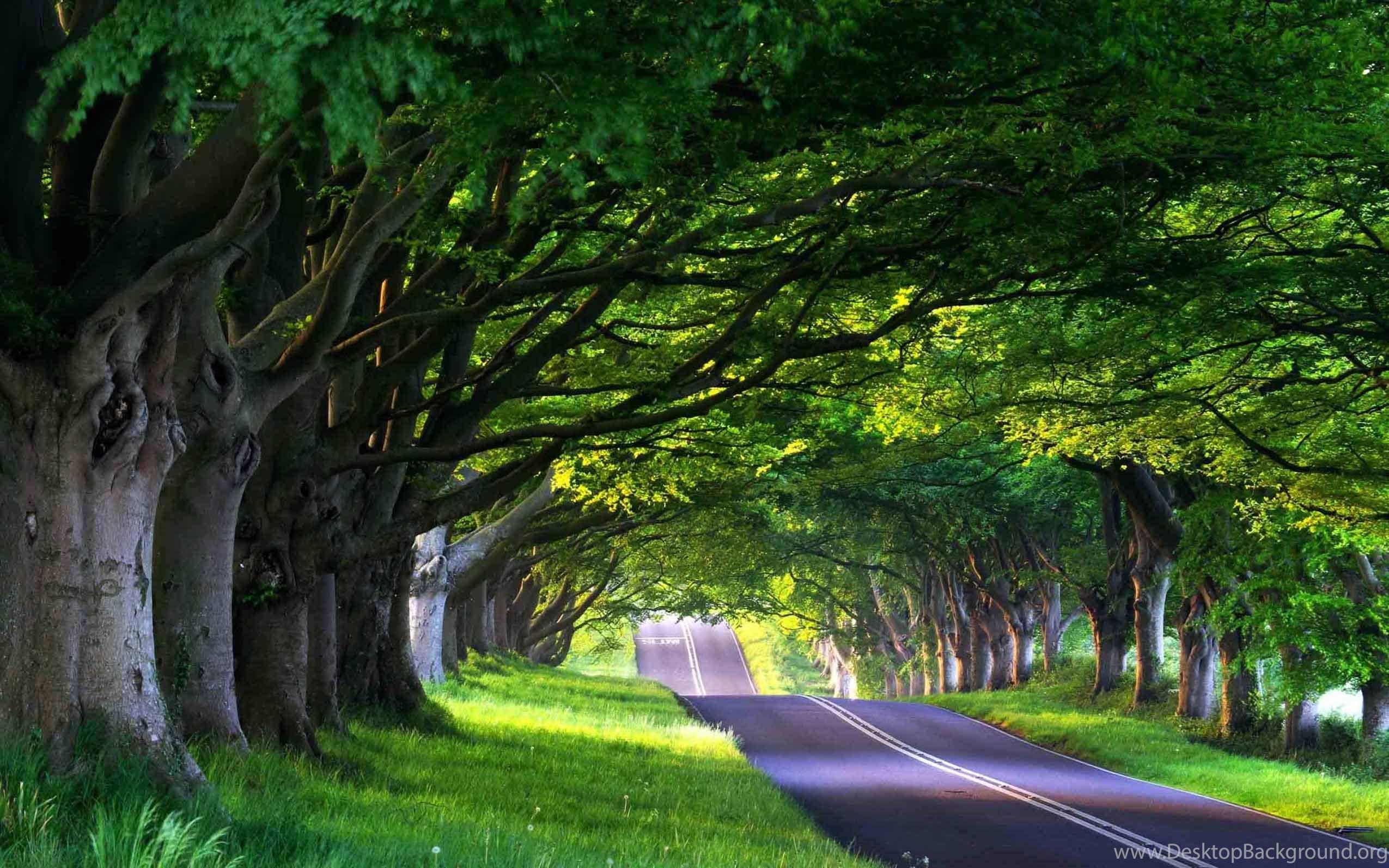 2550x1594 Extra Large Nature Wallpapres Wide HD Wallpaper Desktop Background