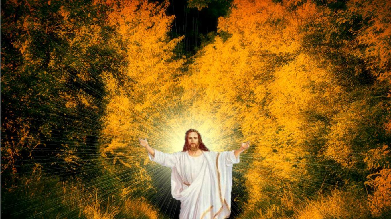1366x768 escape jesus island HD wallpaper, background