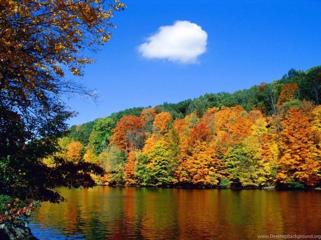 1024x768 Desktop Wallpaper HD Large Size Desktop Background