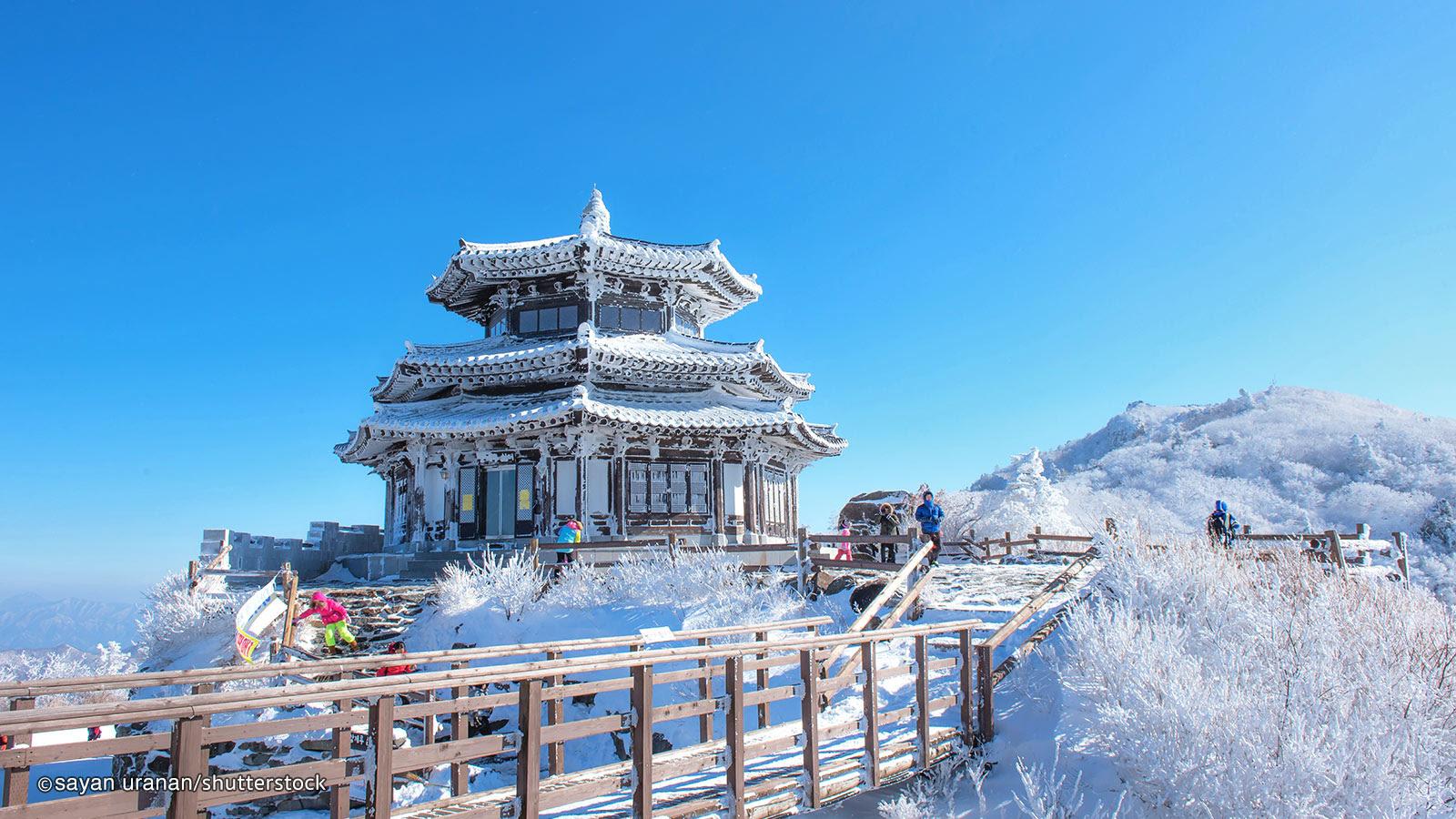 1600x900 Seoul Winter HD Wallpaper