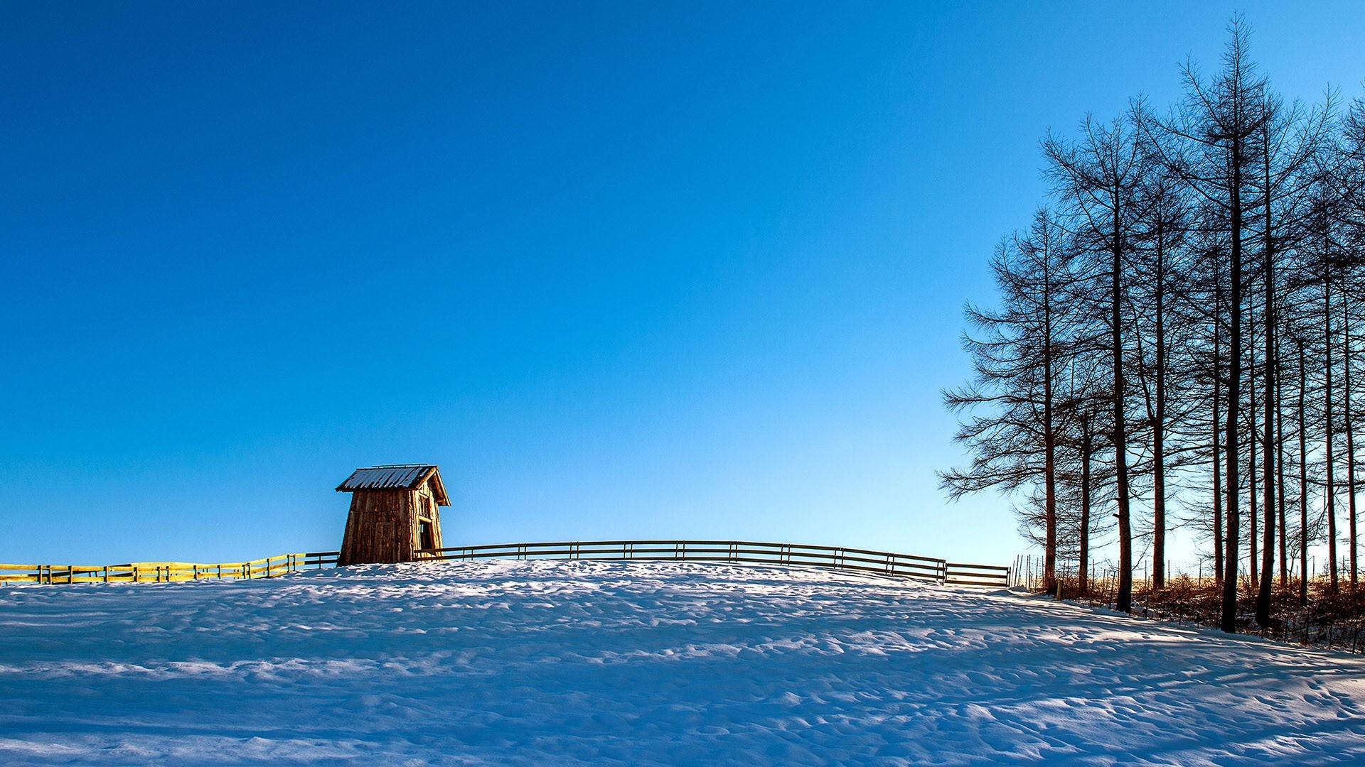 1920x1080 trees, sky, fence, snow, South Korea, cottage, nature HD Wallpaper