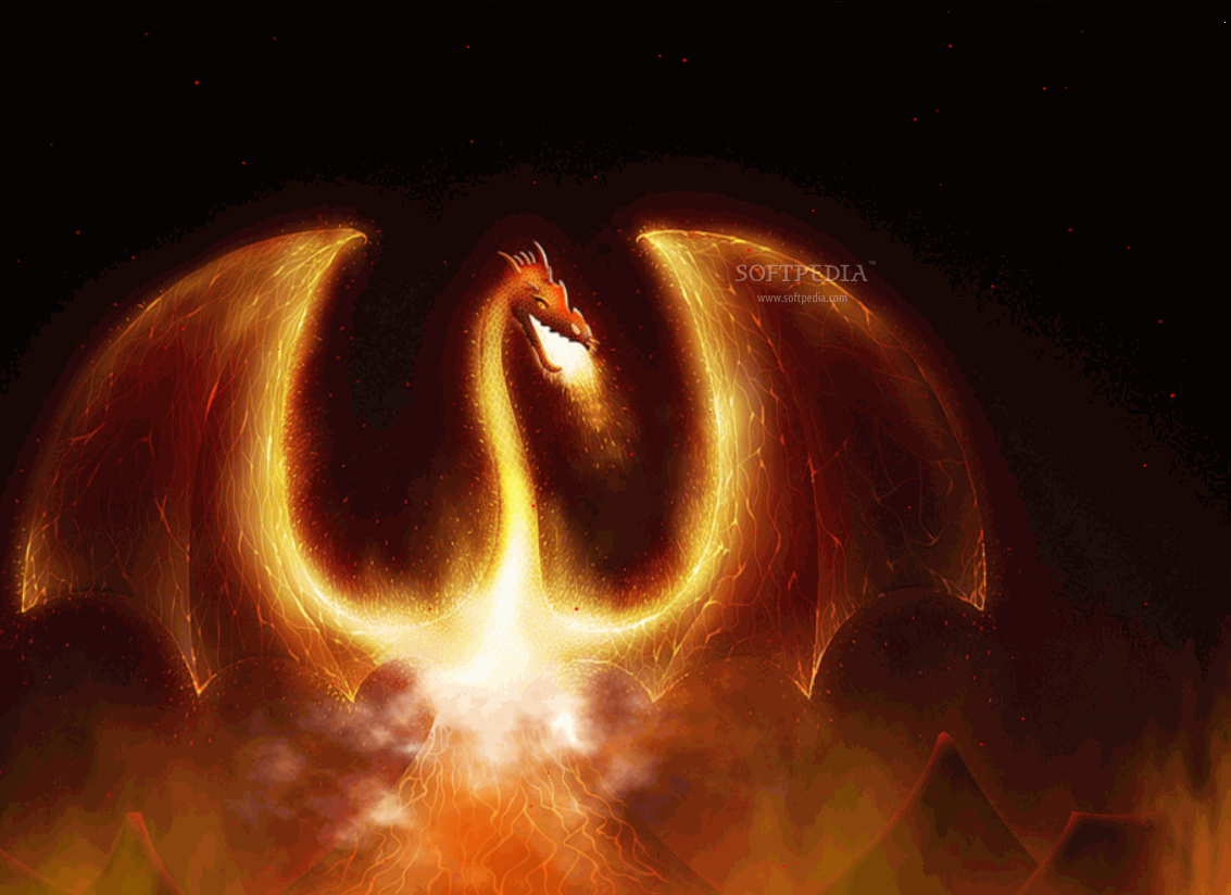 1133x824 Download Fire Dragon Animated Wallpaper 1.0.0