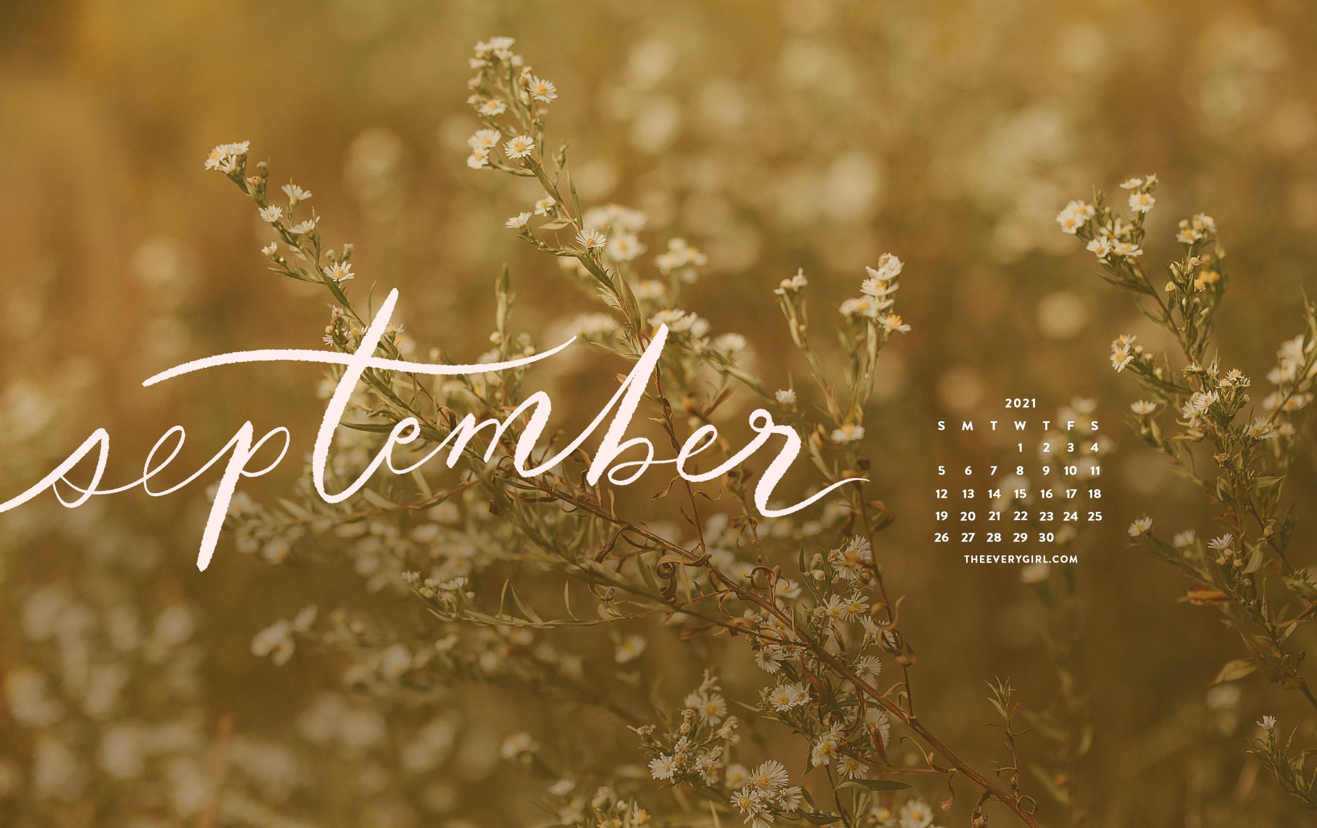 2560x1610 Free, Downloadable Tech Background for September 2021!