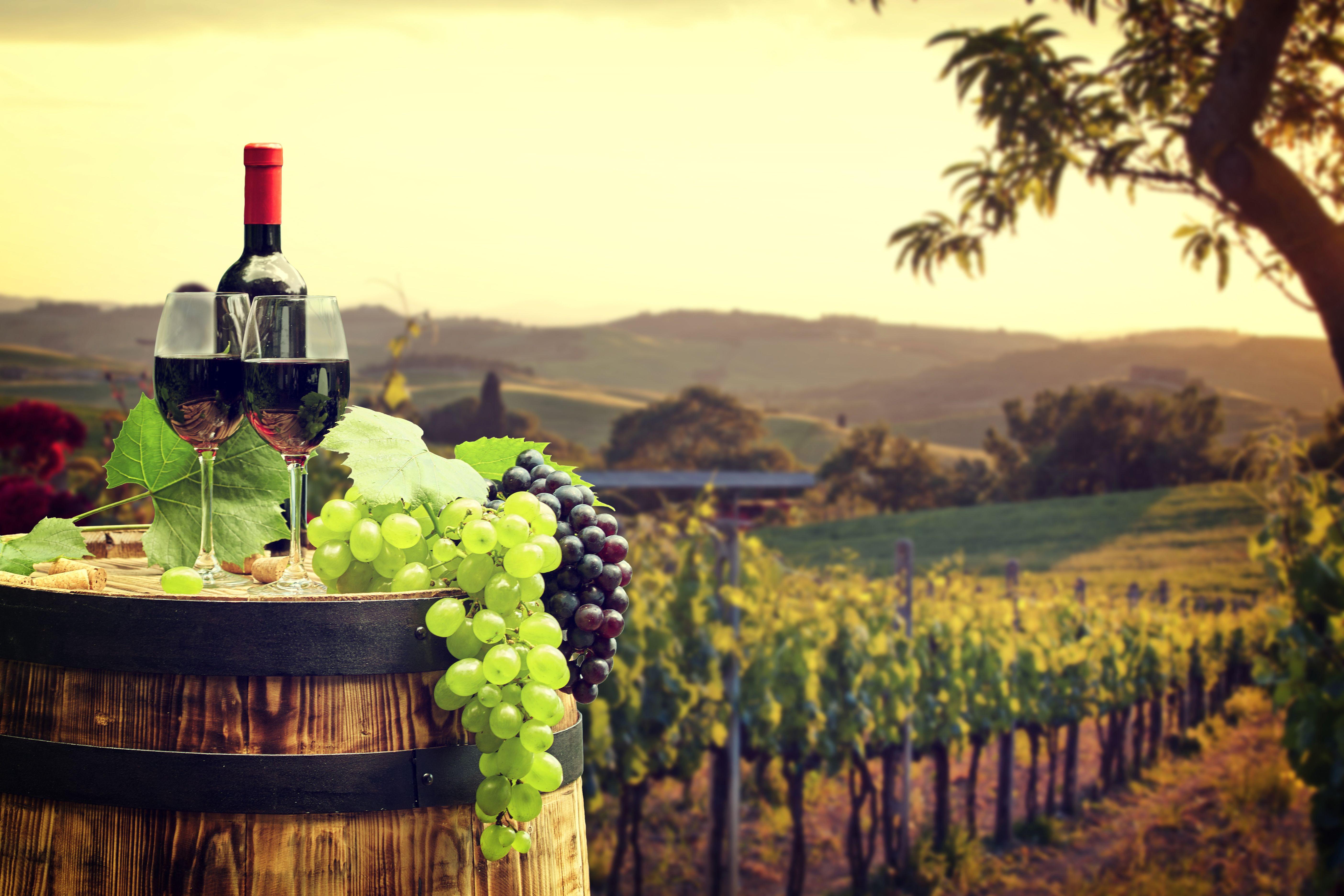 Winery Wallpapers - Top Free Winery Backgrounds - WallpaperAccess