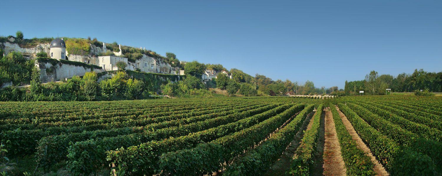 1500x600 Wine Facts Online: Kinds of Wine: Wine By Region: Europe: France