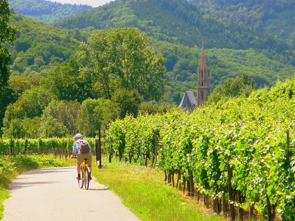 1024x768 Regions of France Ideal for Cycling Wine Tours