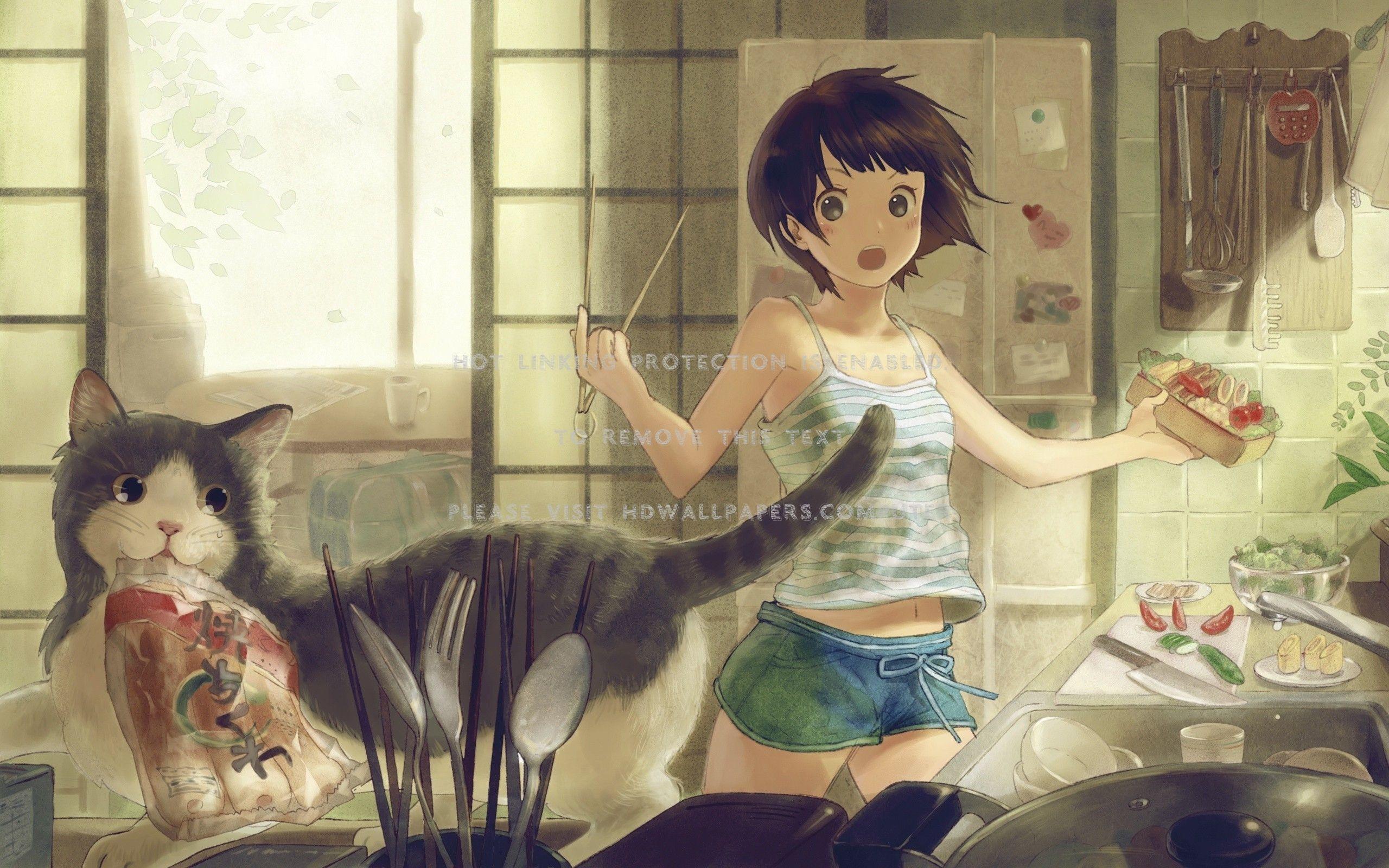 2560x1600 Cat Anime Computer Wallpaper