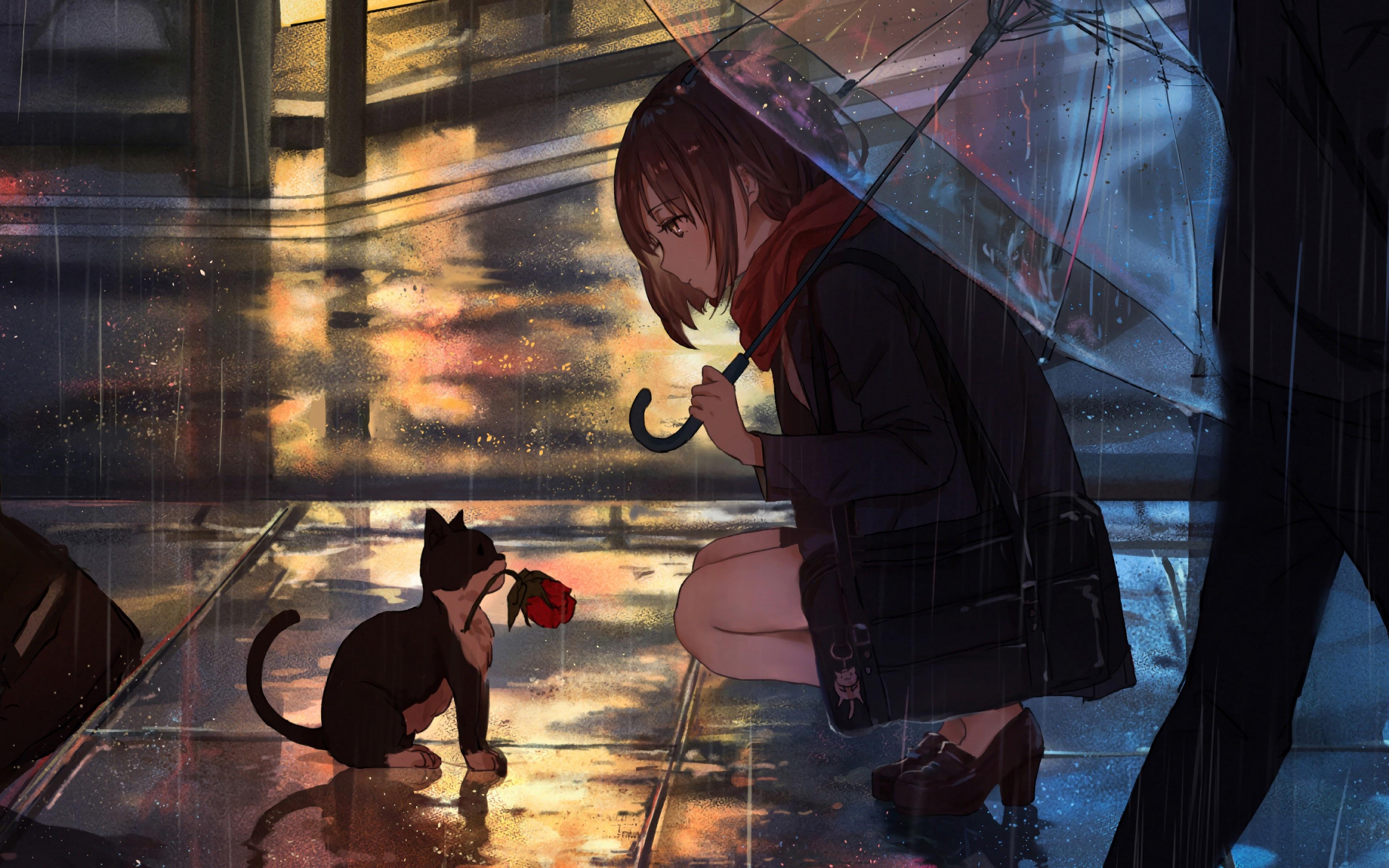 3840x2400 Anime Girl Raining Cat 4K Wallpaper