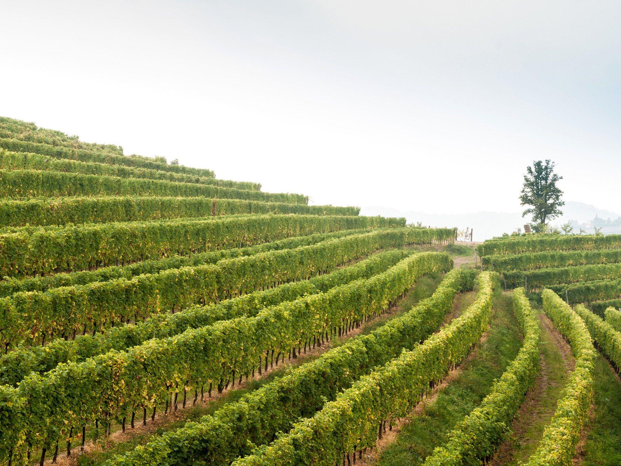2048x1536 The Best Wine Regions to Visit in 2017é Nast Traveler
