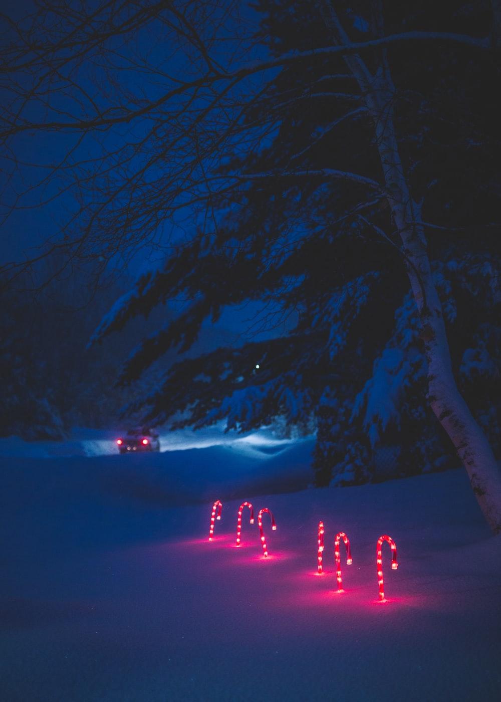 1000x1400 Dark Winter Picture. Download Free Image