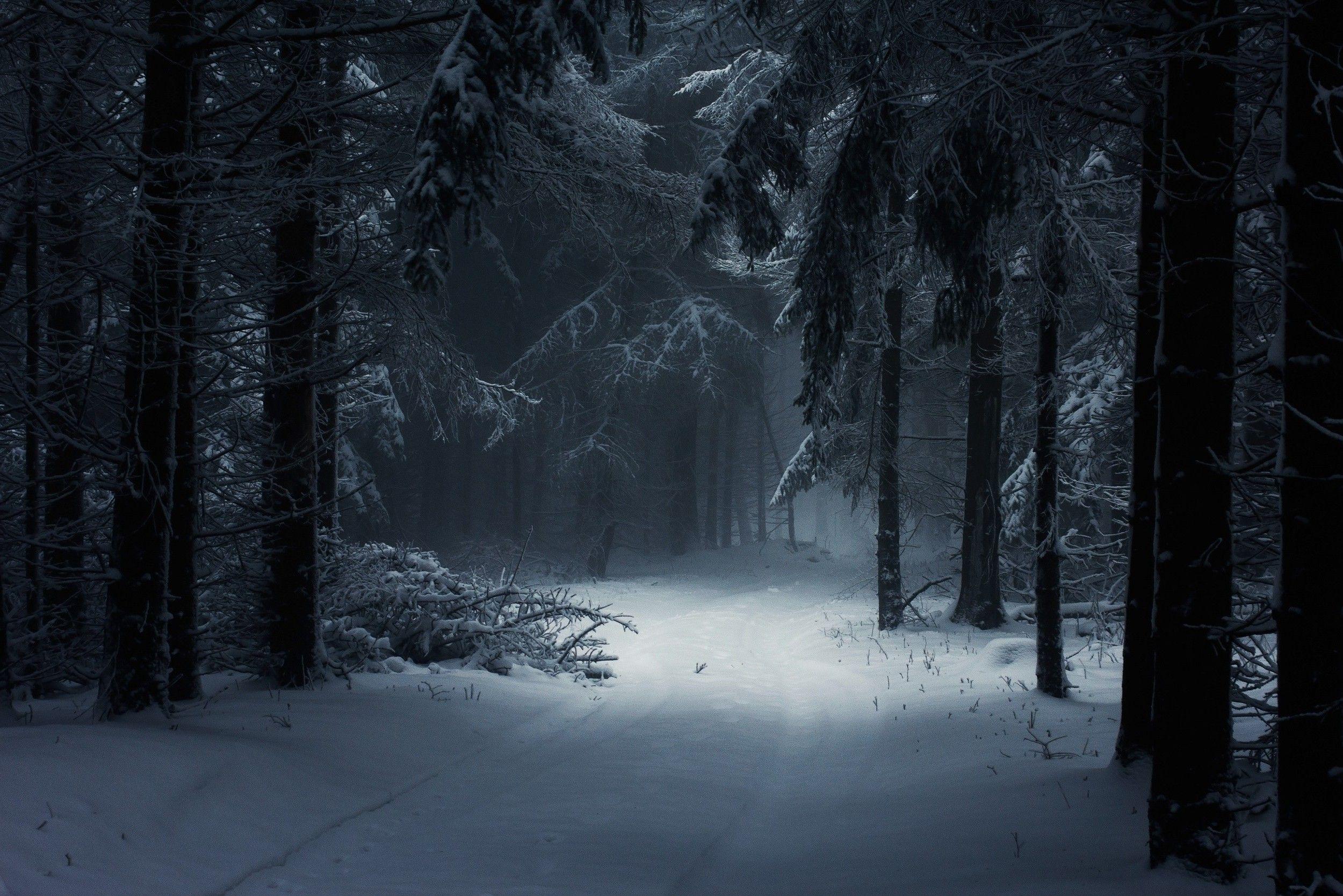 2500x1667 Dark Winter Vintage Wallpaper